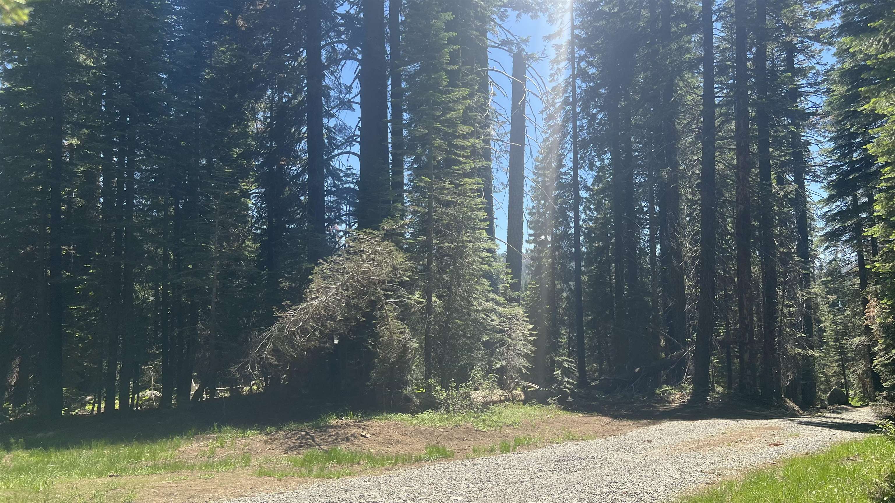 Soda Springs, California, 95728, United States, ,Land,For Sale,1998157