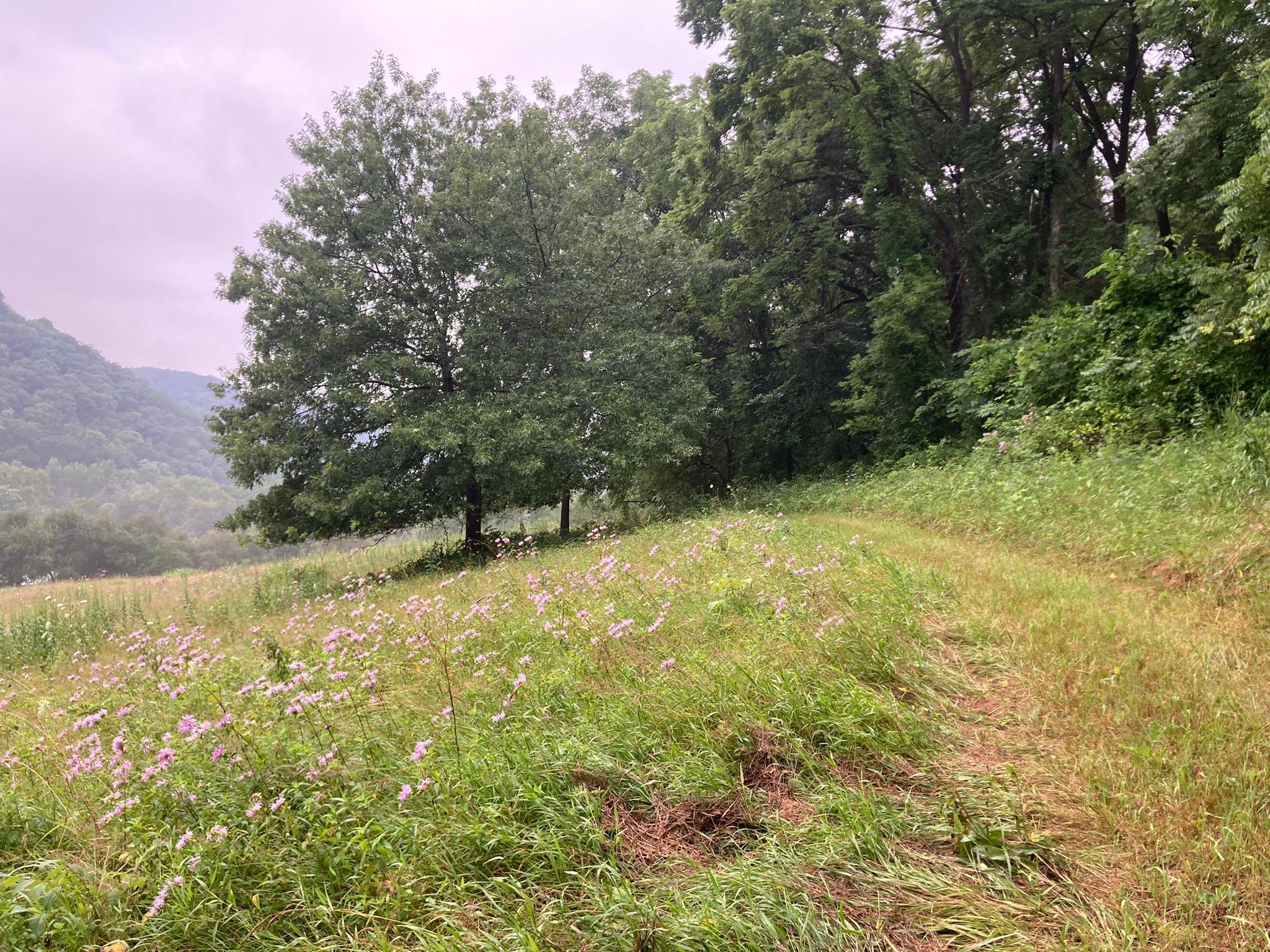 Winona, Minnesota, 55987, United States, 5 Bedrooms Bedrooms, ,2 BathroomsBathrooms,Residential,For Sale,2005788