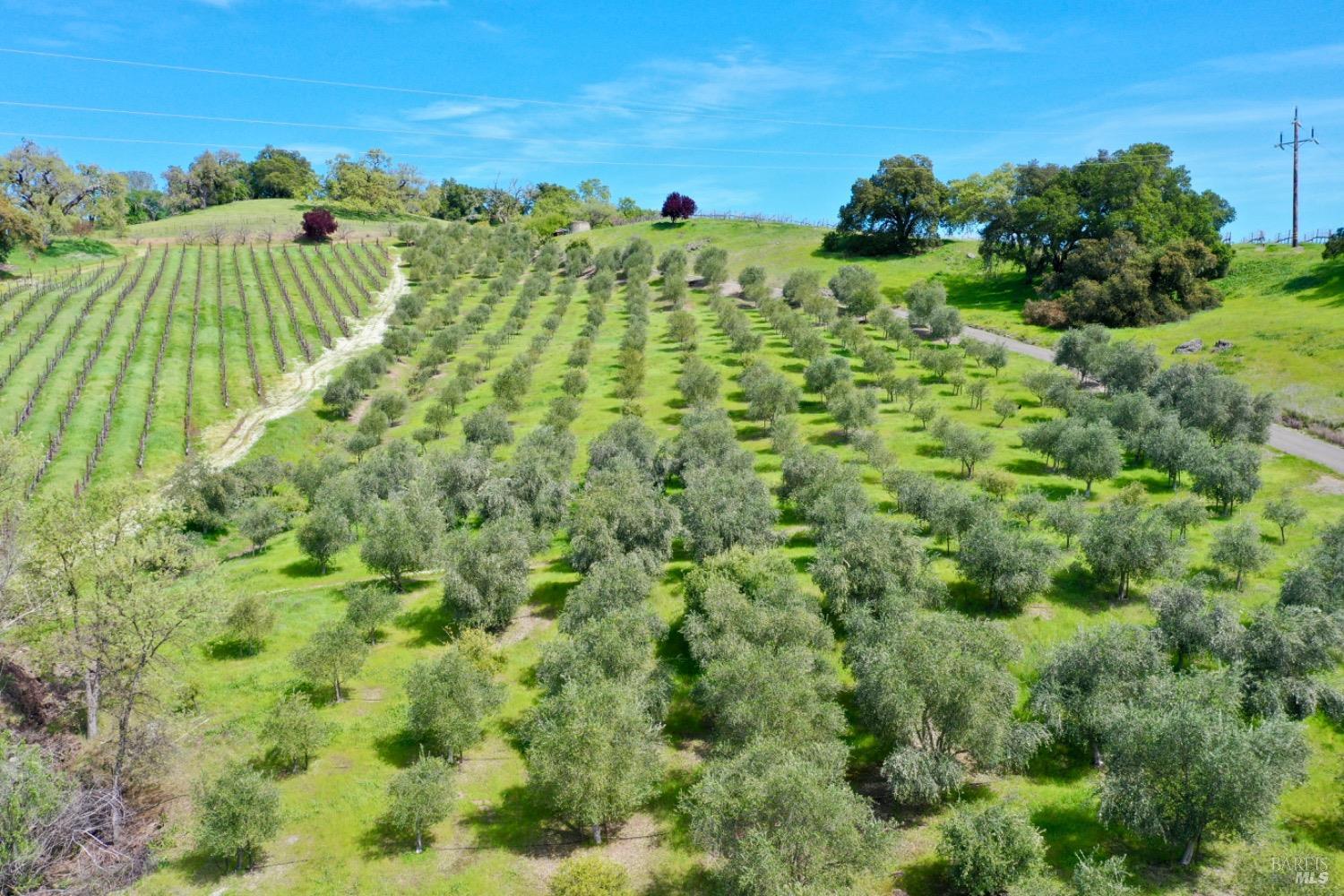 Cloverdale, California, 95425, United States, 5 Bedrooms Bedrooms, ,5 BathroomsBathrooms,Residential,For Sale,1759747