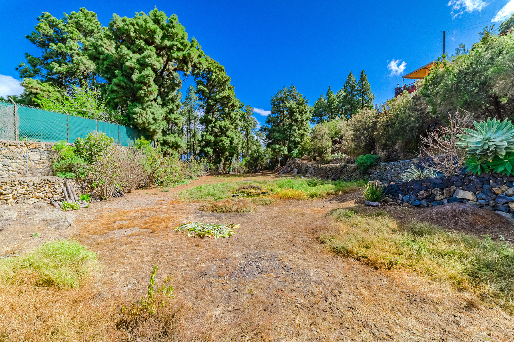  Rustic farmhouse in Icod de los Vinos, Tenerife - 物件實景