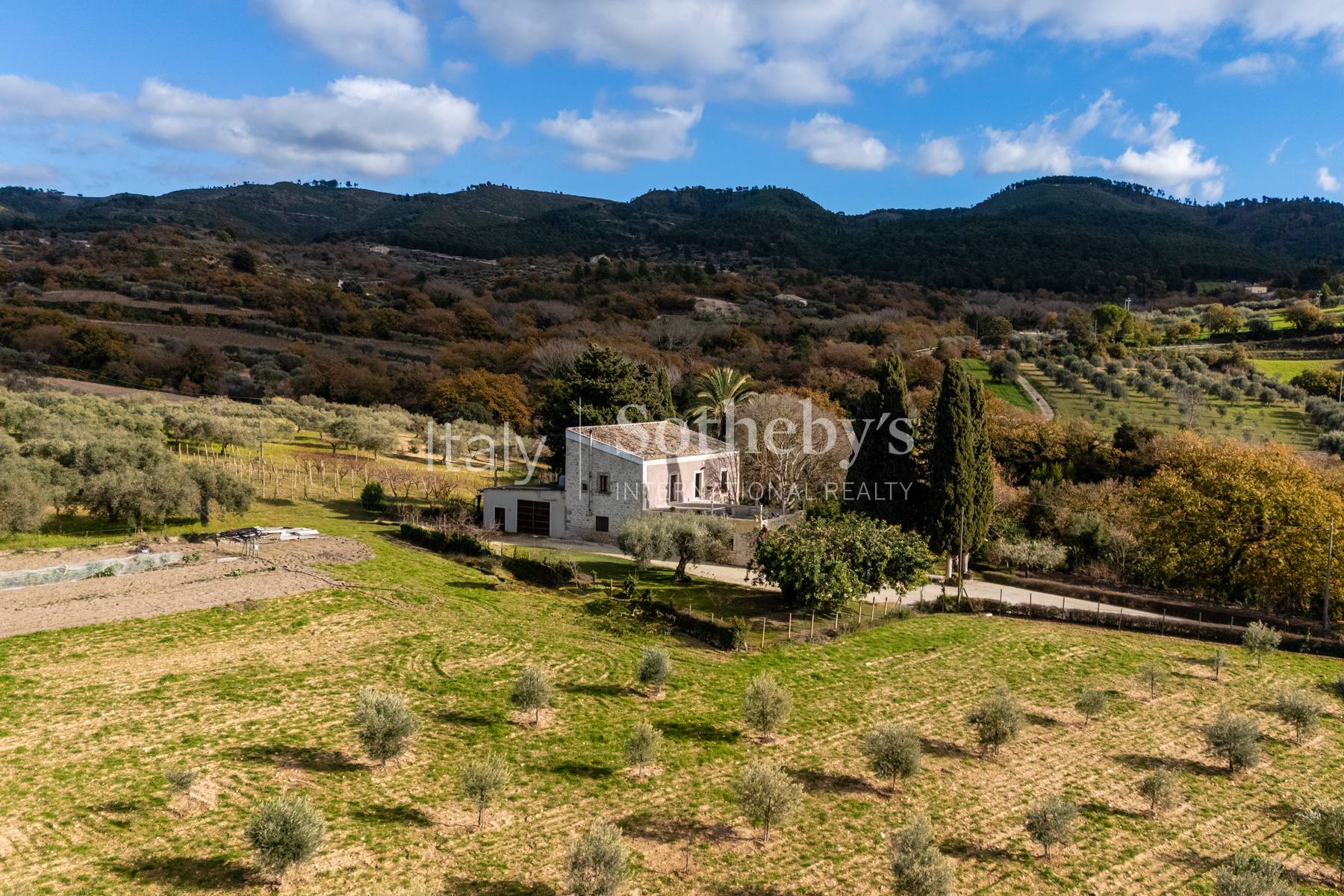  Farmhouse nestled in the Sicilian countryside - 物件實景