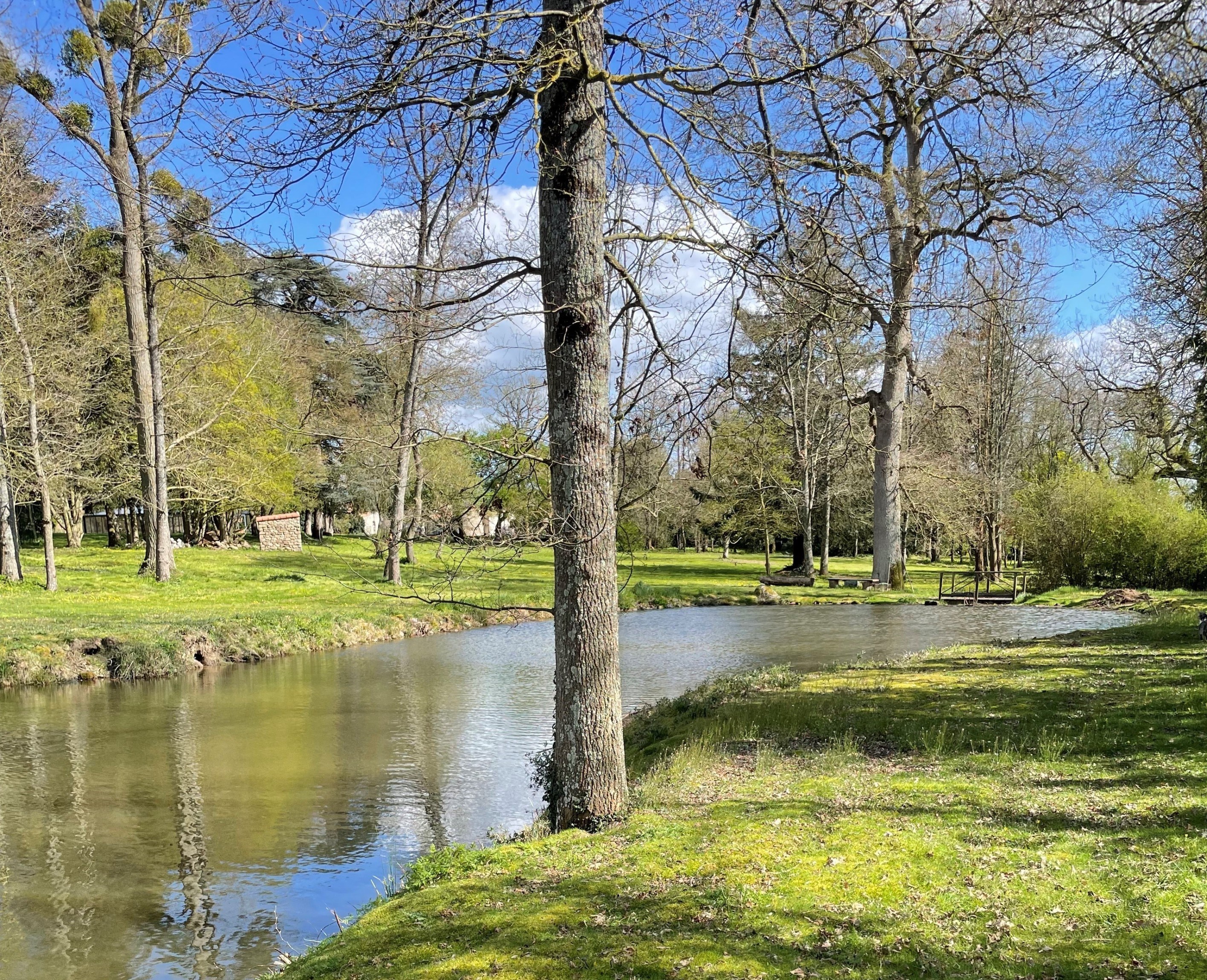  Charming property with park and swimming pool - 物件實景