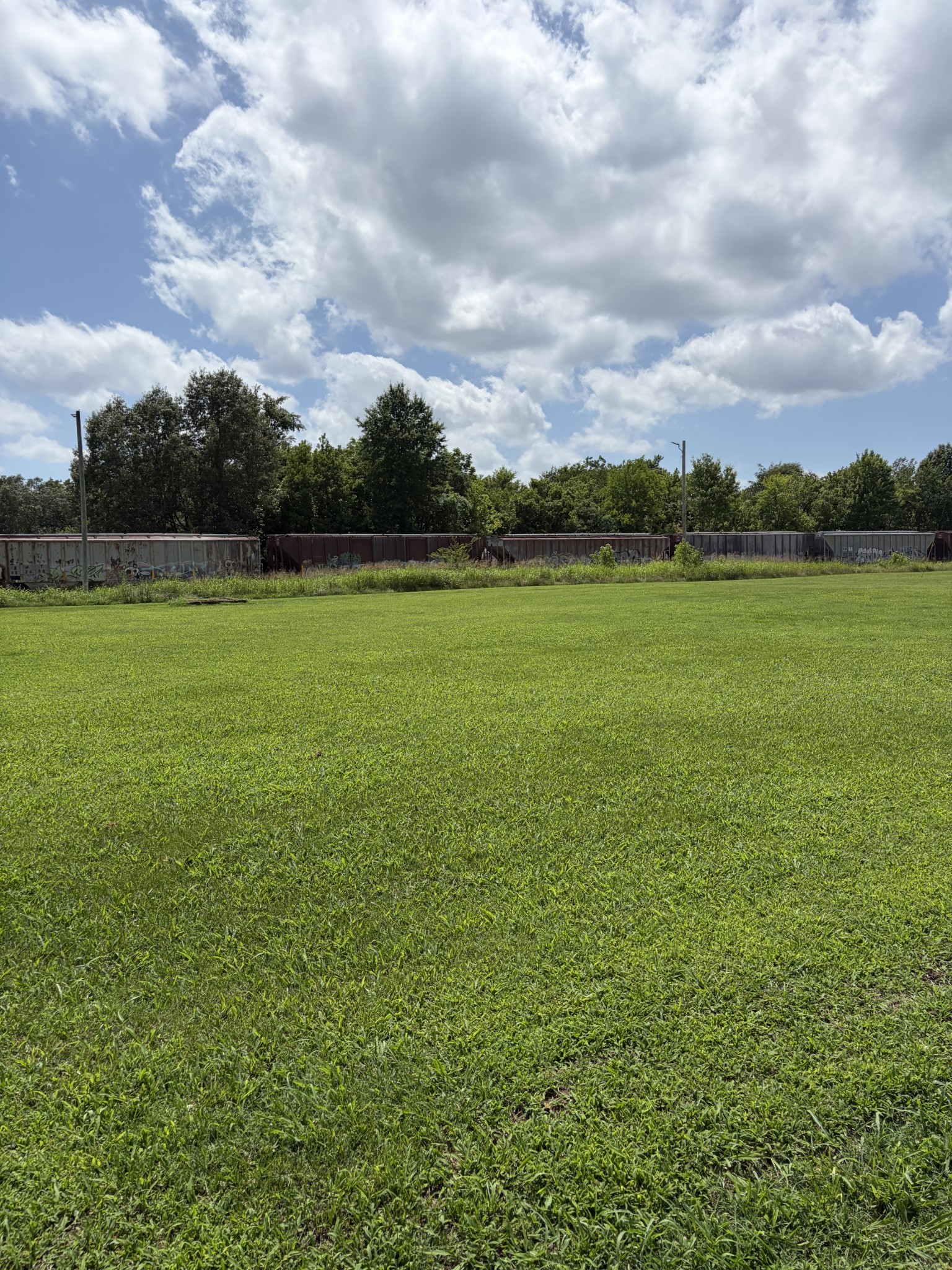 449 Euclid Avenue, Mc Kenzie, TN, 38201 - 物件實景