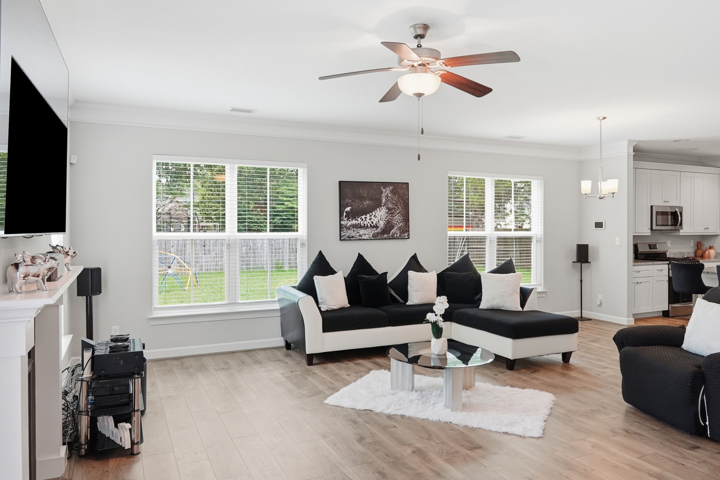  117 North Oceana Boulevard, Virginia Beach, VA 23454 - 物件實景