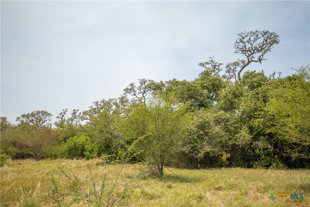 Cuero, Texas, 77954, United States, ,Residential,For Sale,1950887