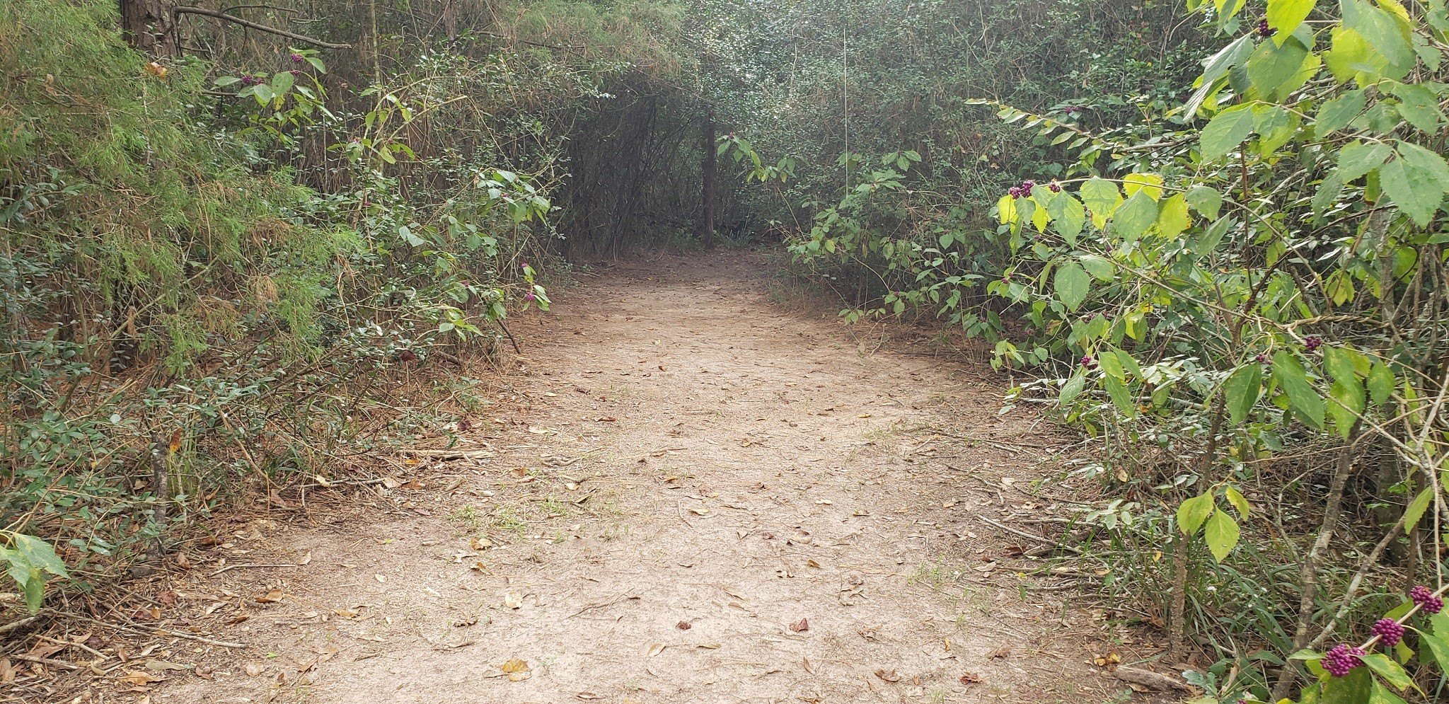 Hockley, Texas, 77447, United States, 2 Bedrooms Bedrooms, ,1 BathroomBathrooms,Residential,For Sale,1974890