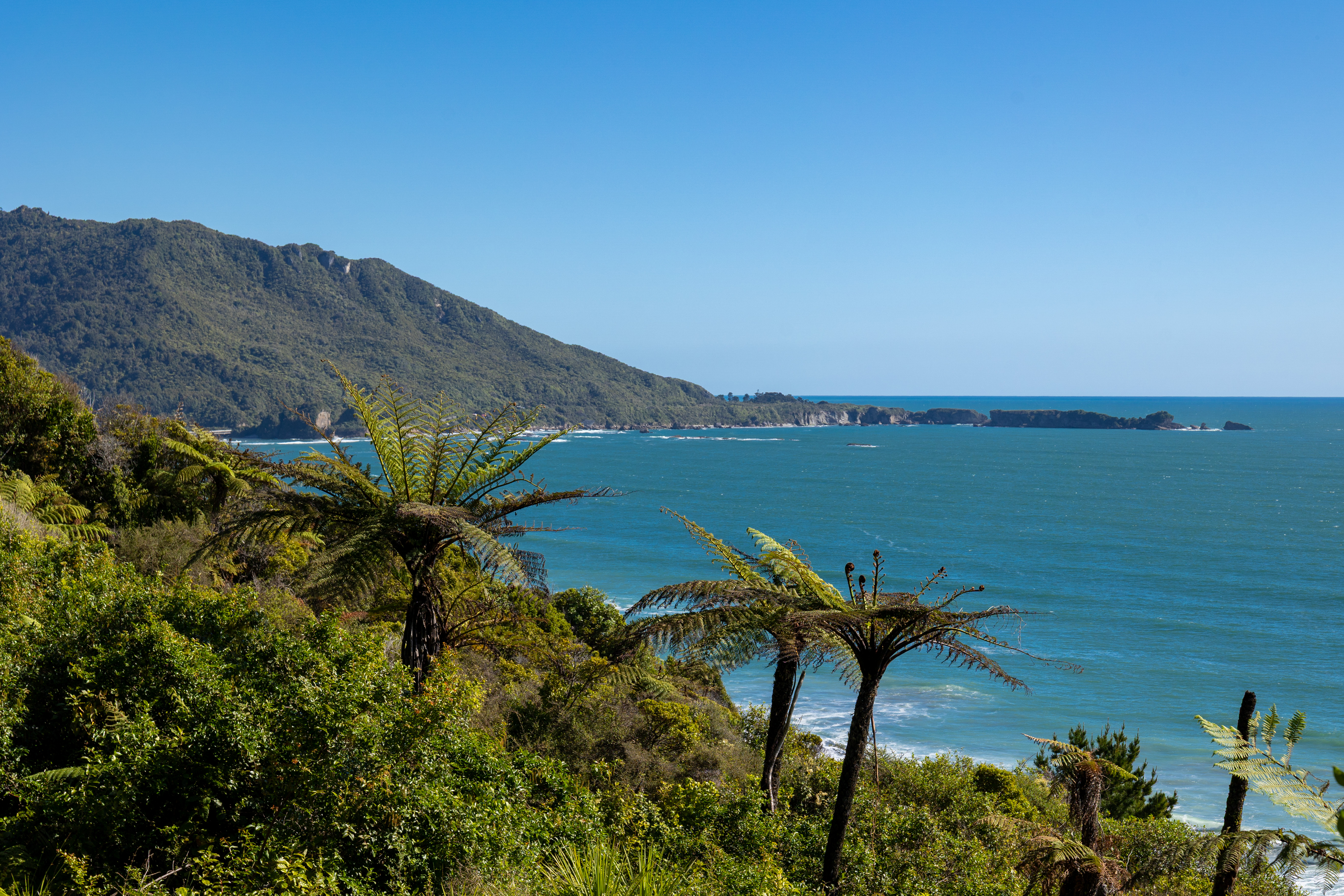  State Highway 6, Fox River, Punakaiki - 物件實景