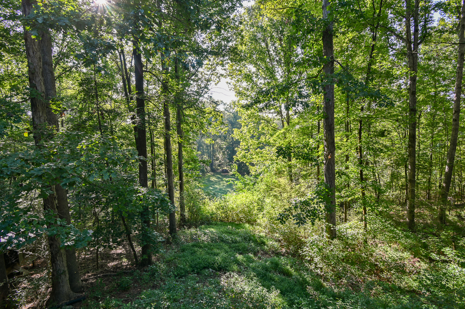 Newborn, Georgia, 30056, United States, 4 Bedrooms Bedrooms, ,4 BathroomsBathrooms,Residential,For Sale,1980186