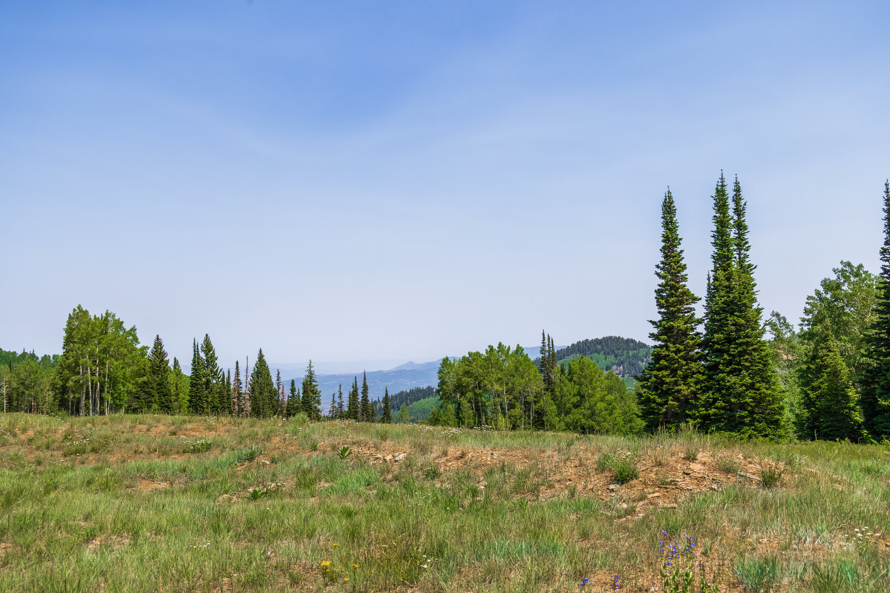  Incredible 28 Acre Estate Lot in the Colony at White Pine Canyon - 物件實景