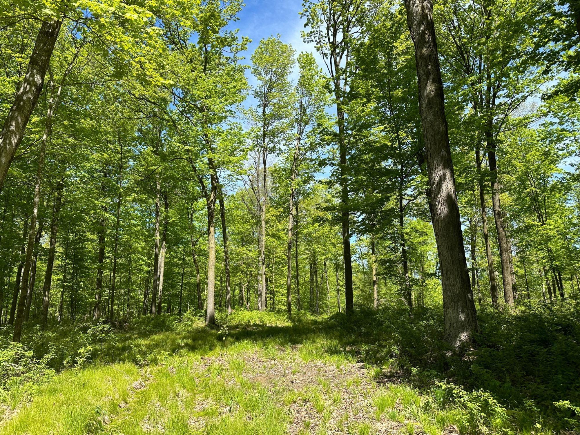 Maine, Wisconsin, 54452, United States, ,Residential,For Sale,1935602