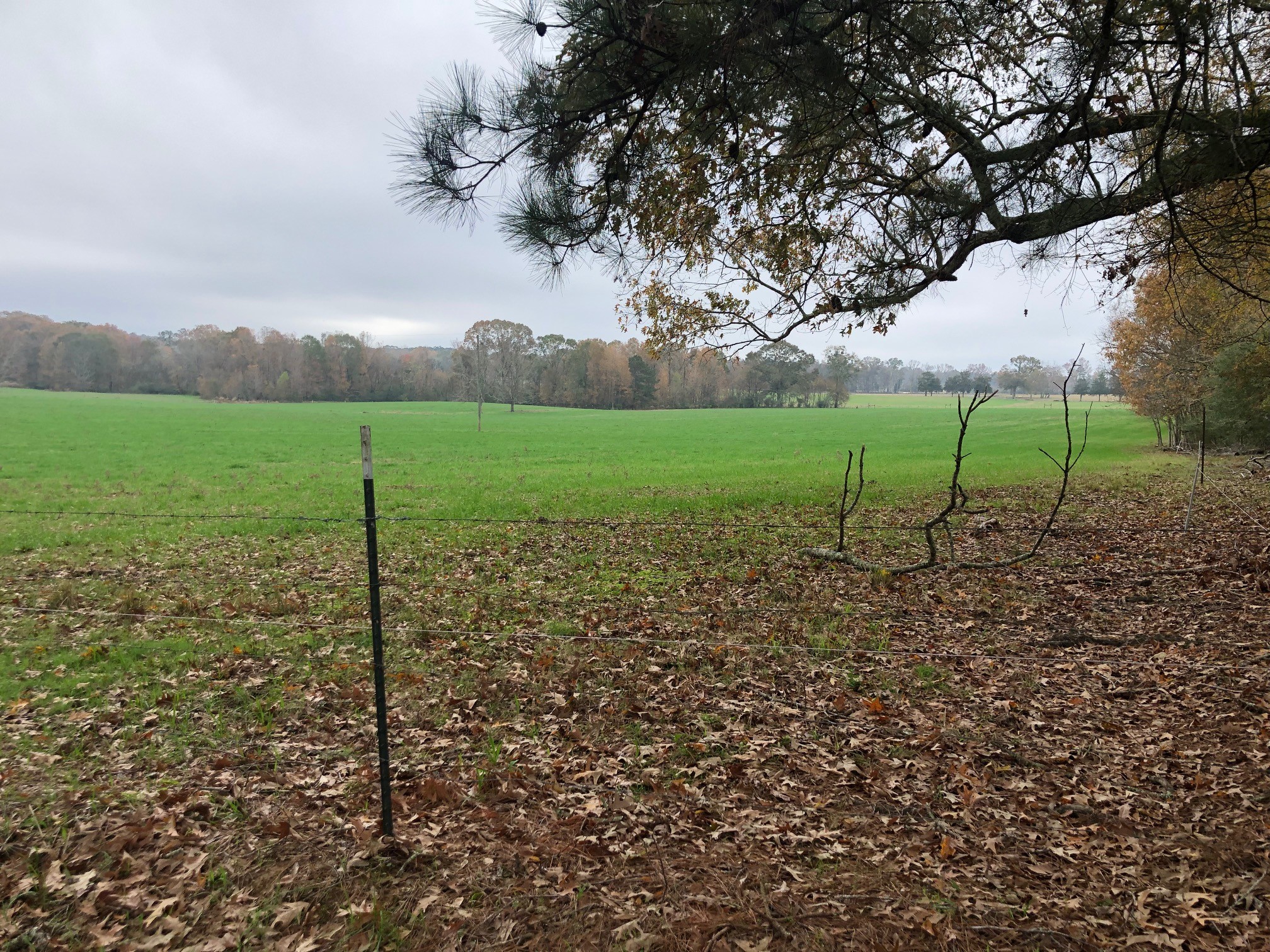 Woodville, Mississippi, 39669, United States, ,Land,For Sale,1903727