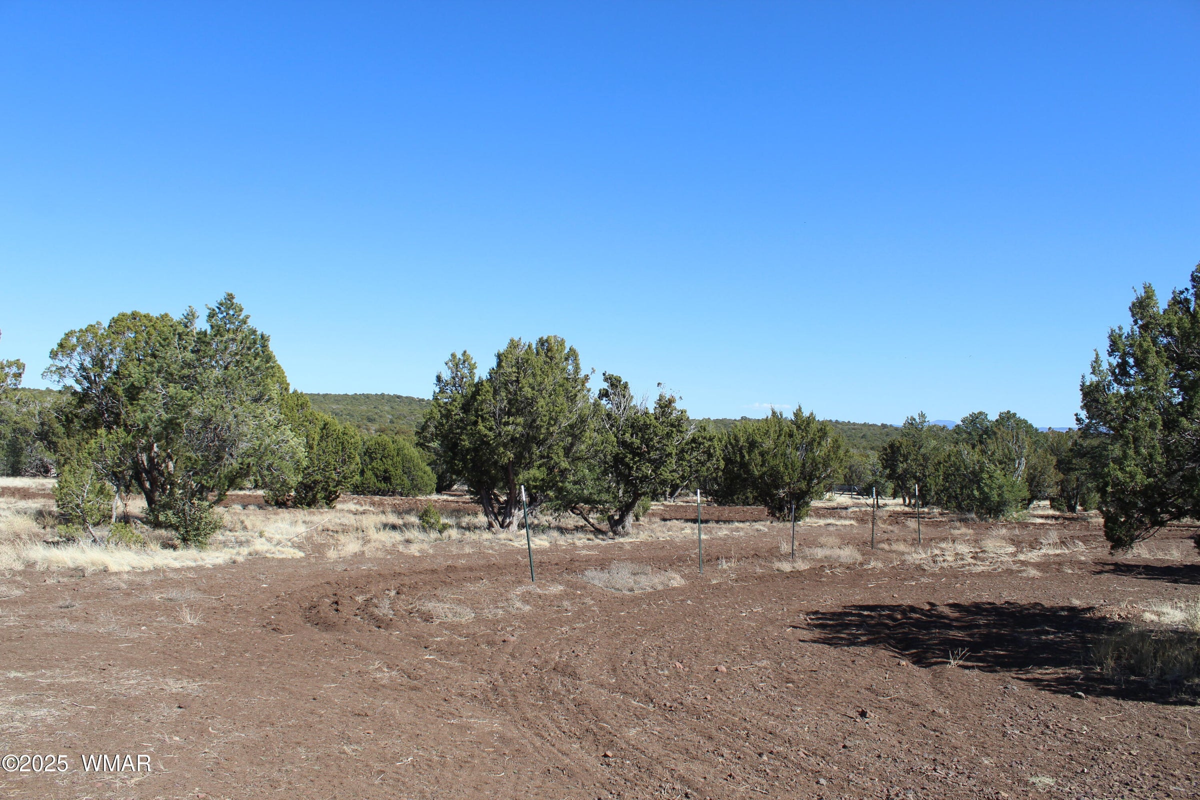 Concho, Arizona, 85924, United States, 4 Bedrooms Bedrooms, ,Residential,For Sale,2005351