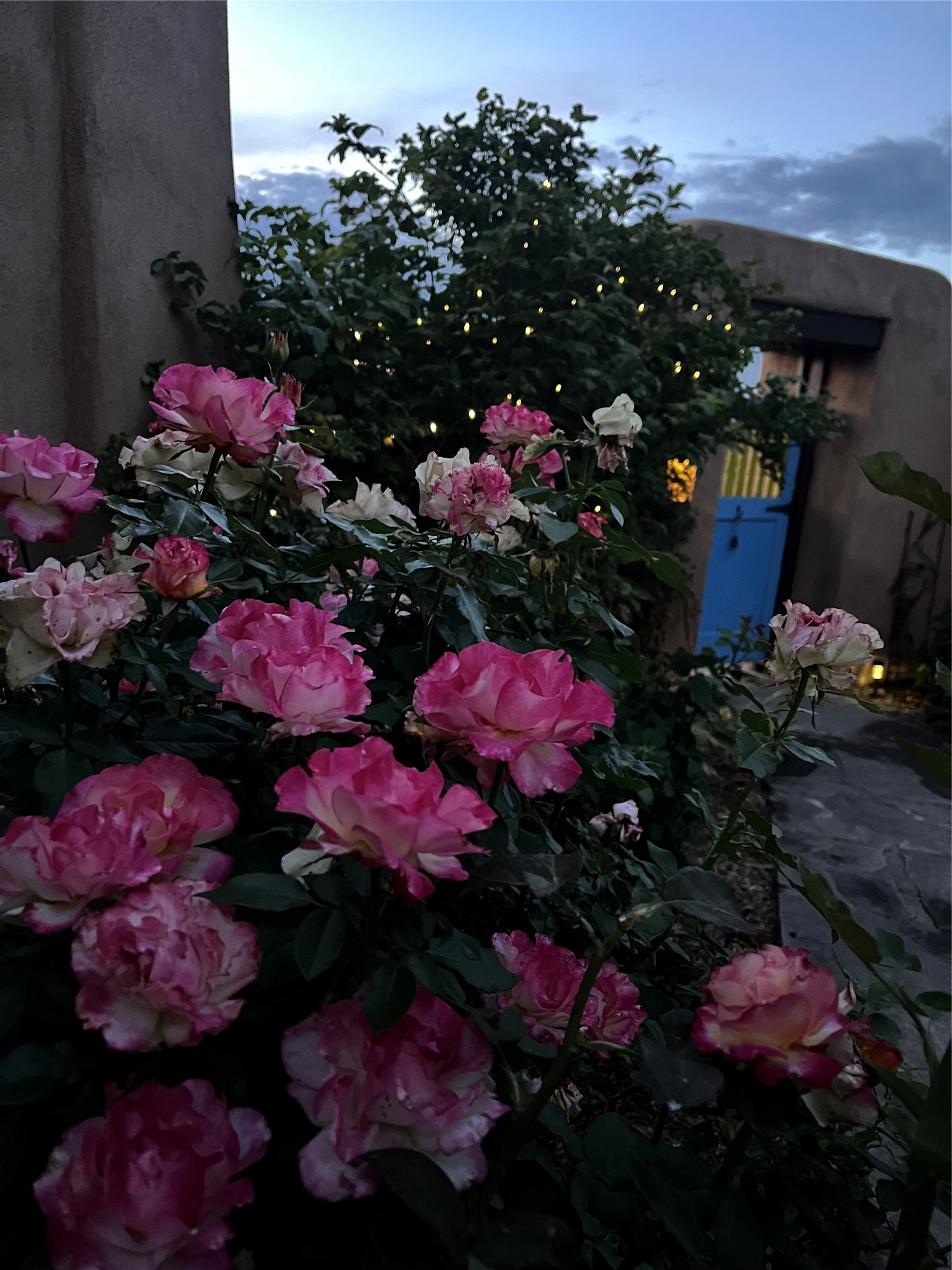  23 Monterey Road - 物件實景