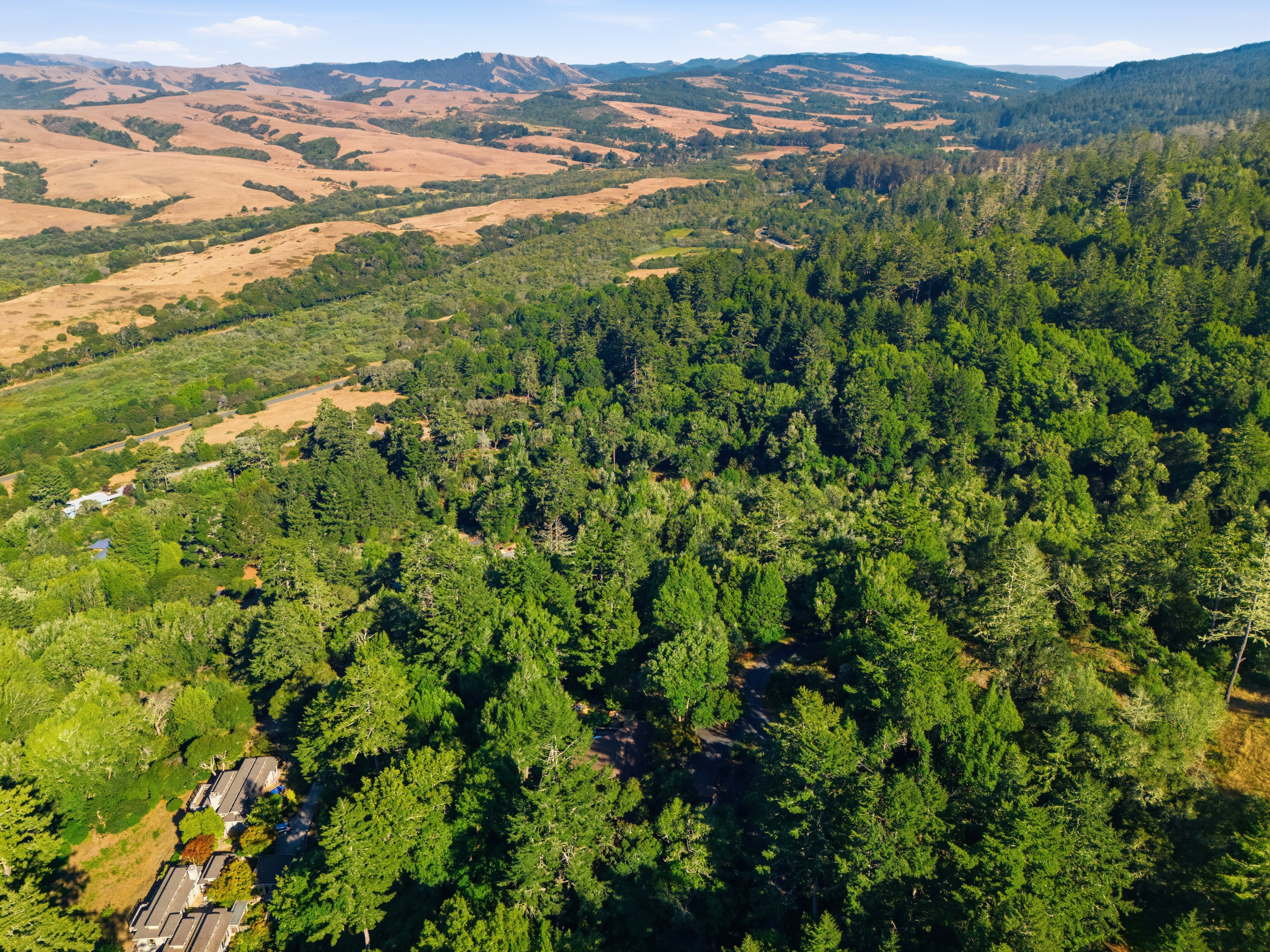  West Marin Legacy Estate - 物件實景