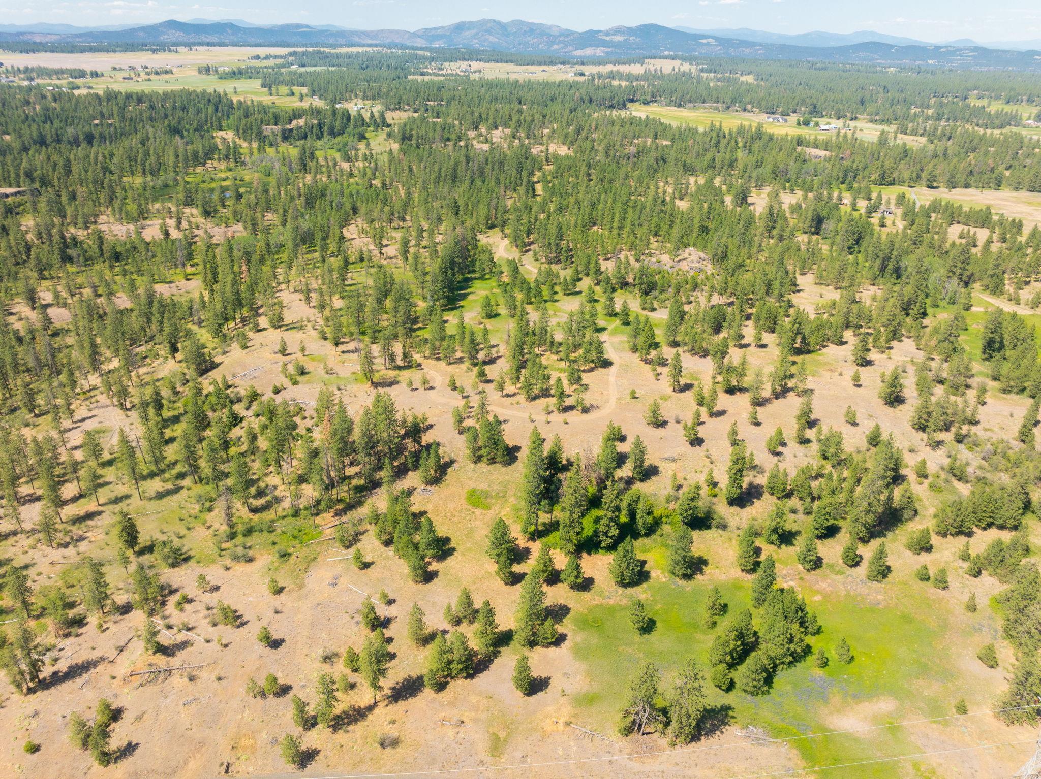 Nine Mile Falls, Washington, 99026, United States, ,Land,For Sale,1960887