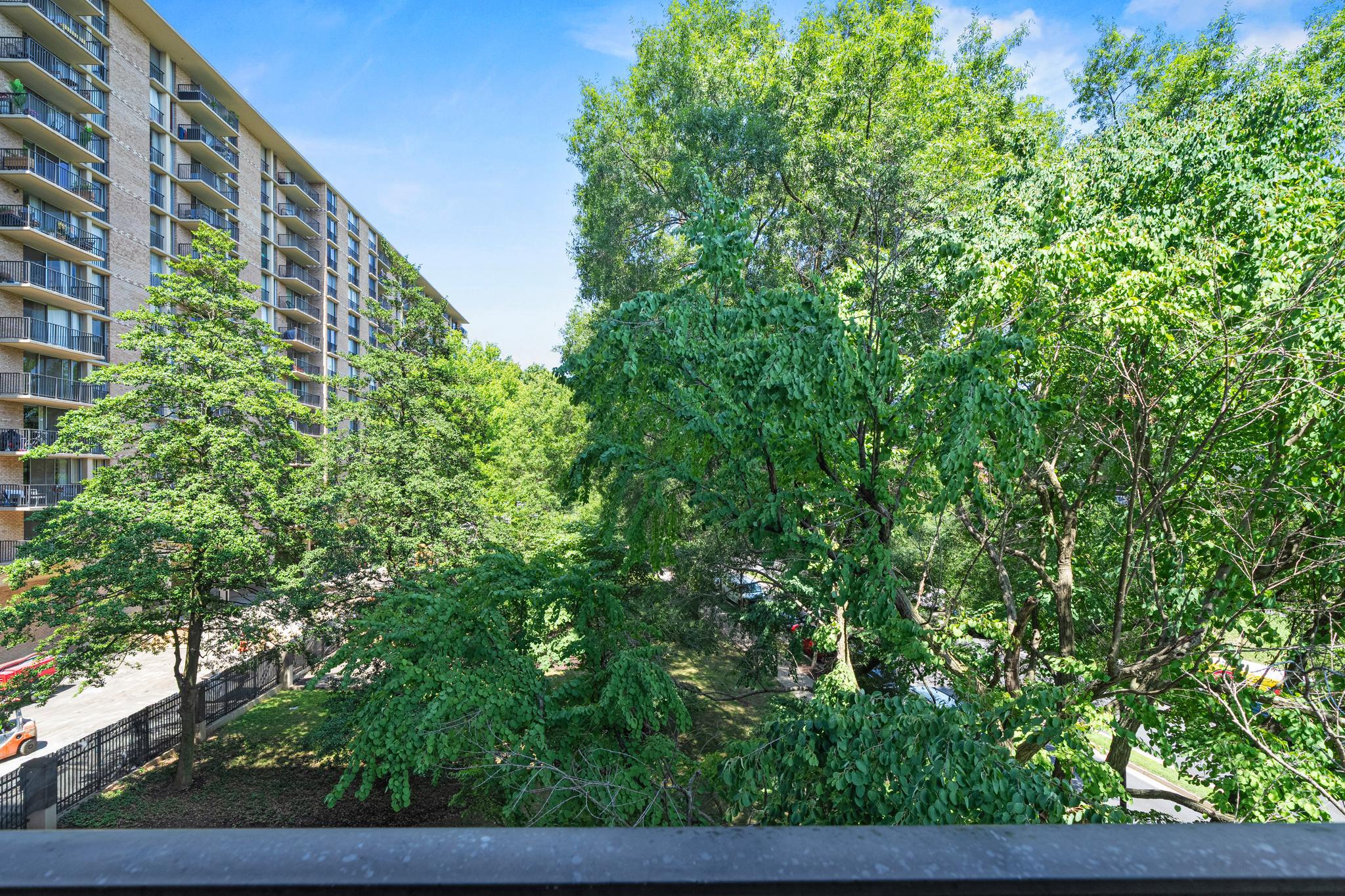  4600 S Four Mile Run Drive, Arlington, VA, 22204 - 物件實景