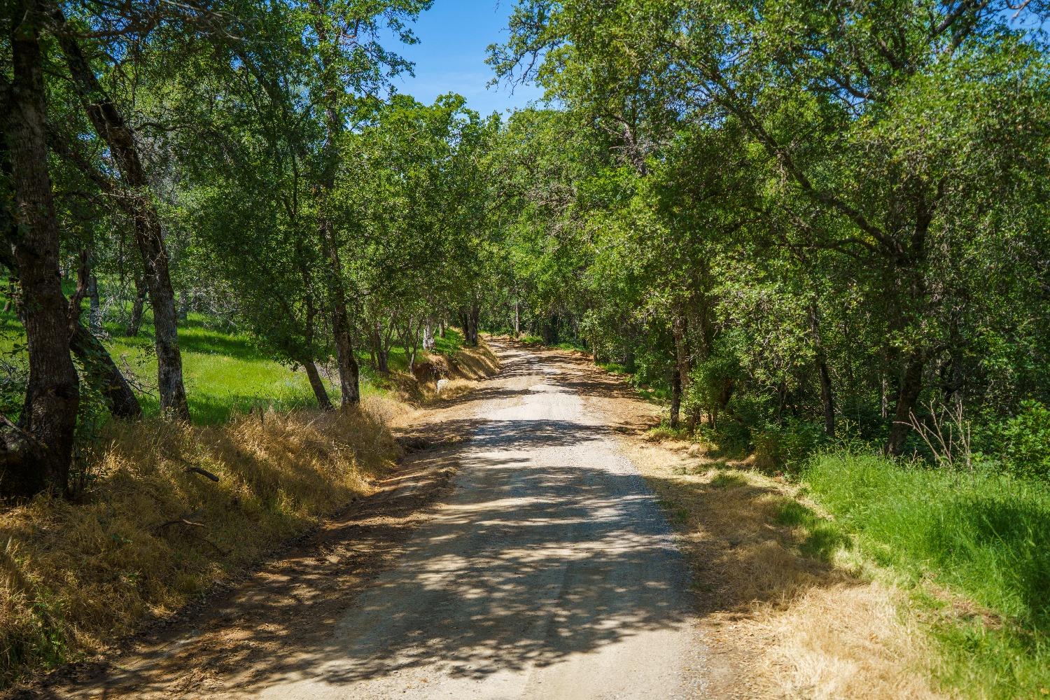 Lincoln, California, 95648, United States, ,Land,For Sale,1784125