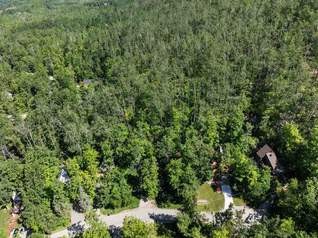 Harbor Springs, Michigan, 49740, United States, 2 Bedrooms Bedrooms, ,2 BathroomsBathrooms,Residential,For Sale,1901422