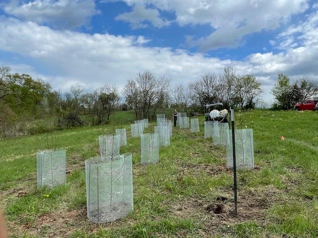 Muscoda, Wisconsin, 53573, United States, 3 Bedrooms Bedrooms, ,3 BathroomsBathrooms,Residential,For Sale,1990387