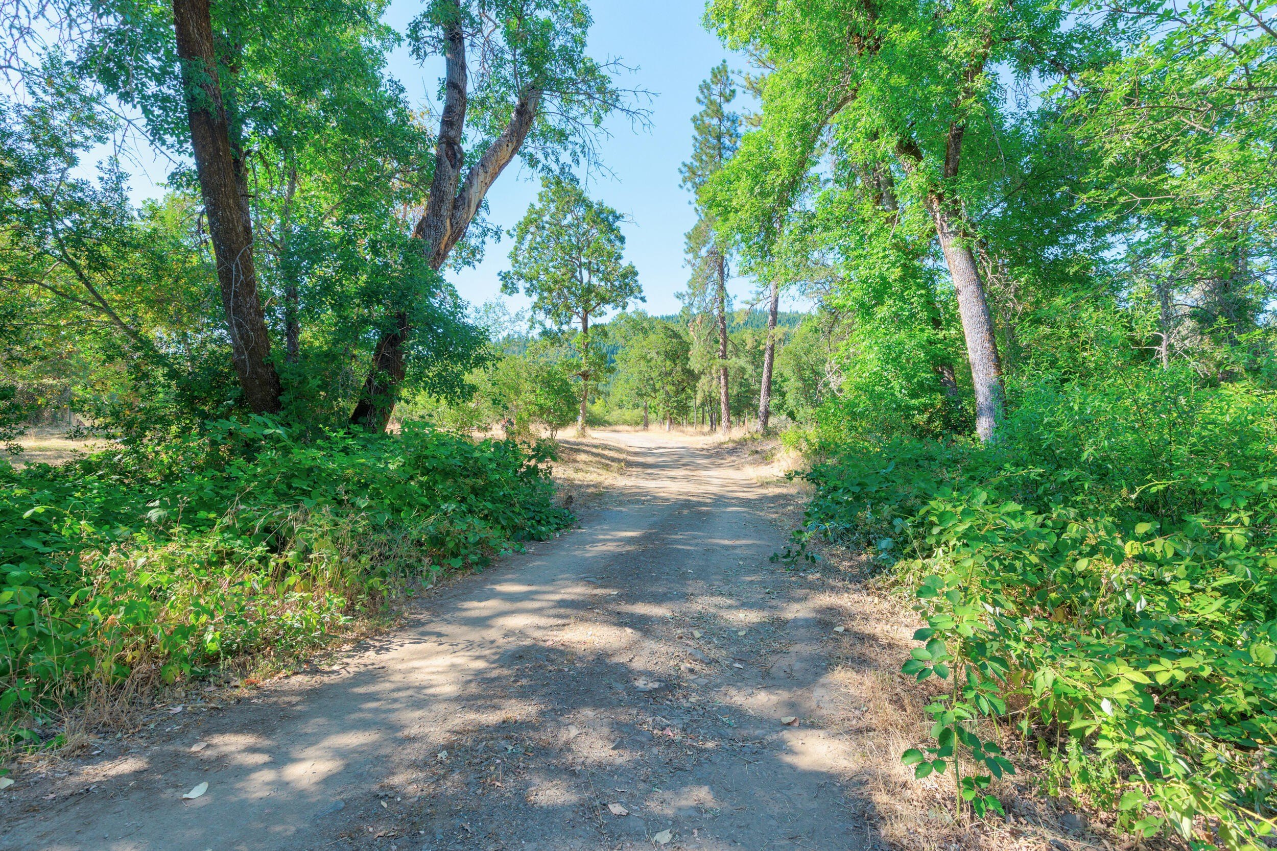 Selma, Oregon, 97538, United States, 3 Bedrooms Bedrooms, ,2 BathroomsBathrooms,Residential,For Sale,1980264