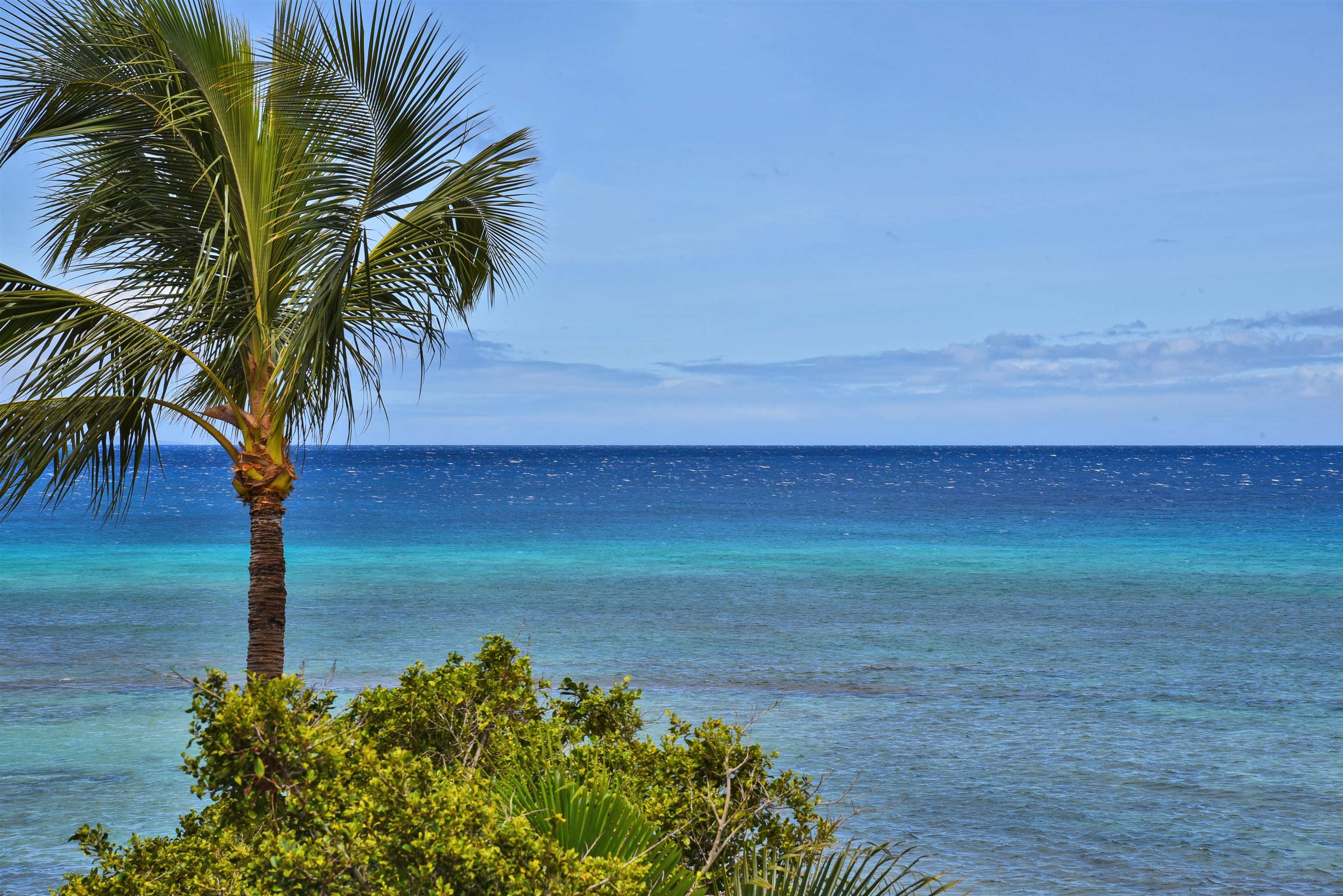 Lahaina, Hawaii, 96761, United States, 1 Bedroom Bedrooms, ,1 BathroomBathrooms,Residential,For Sale,1891036