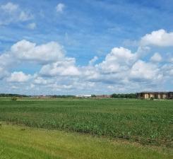 5Xxx W Lake Burgen Road SE, Alexandria, Minnesota, 56308, United States, ,Land,For Sale,5Xxx W Lake Burgen Road SE,1318922