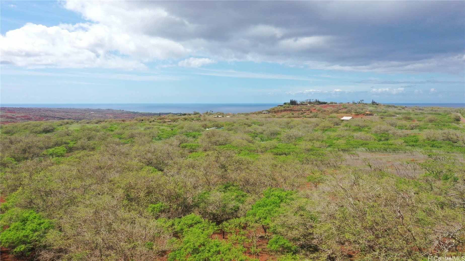 Maunaloa, Hawaii, 96770, United States, ,Land,For Sale,1977716