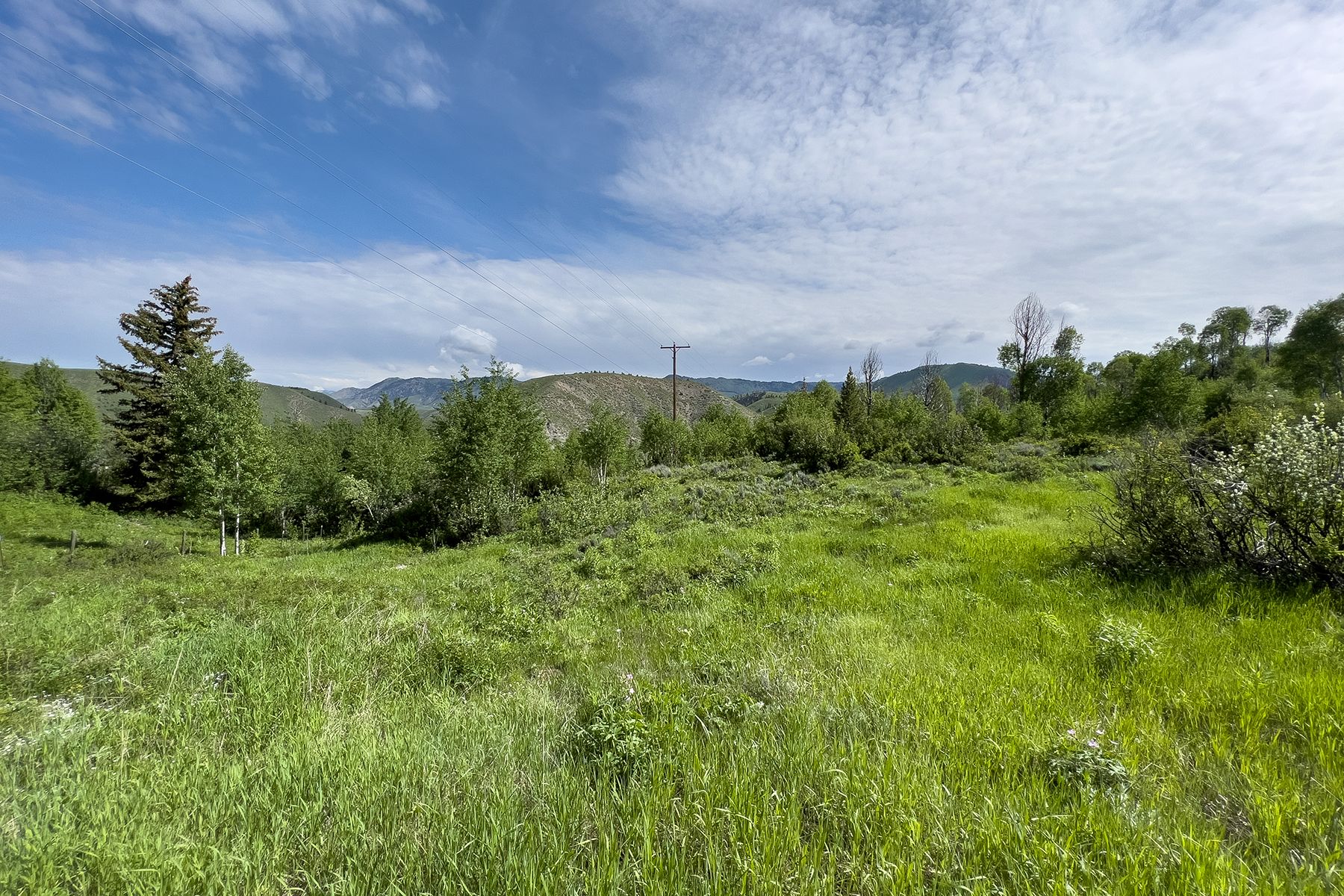  Rodeo Road - 物件實景
