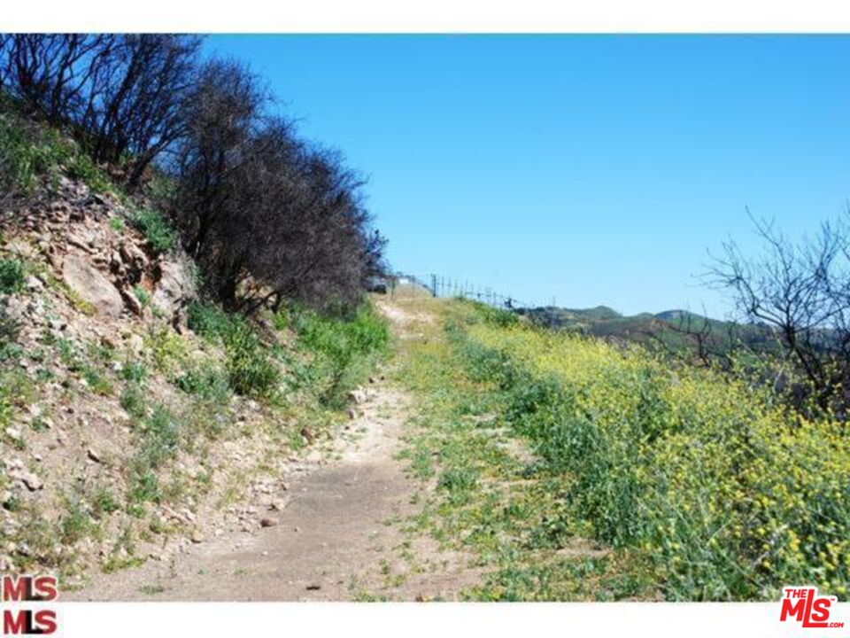 Malibu, California, 90265, United States, ,Land,For Sale,1767391
