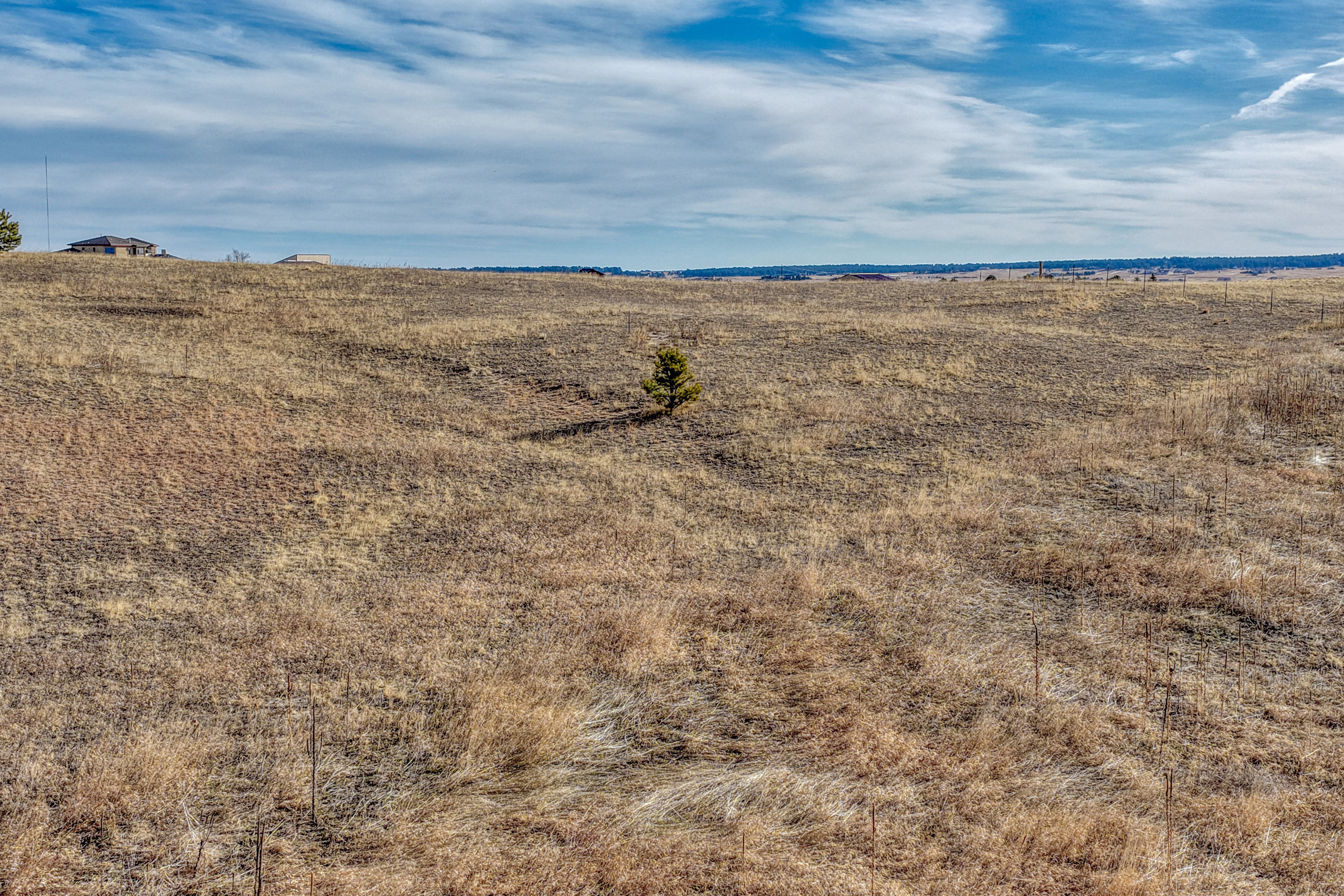  5 acres with mountain views in sought after Black Forest - 物件實景