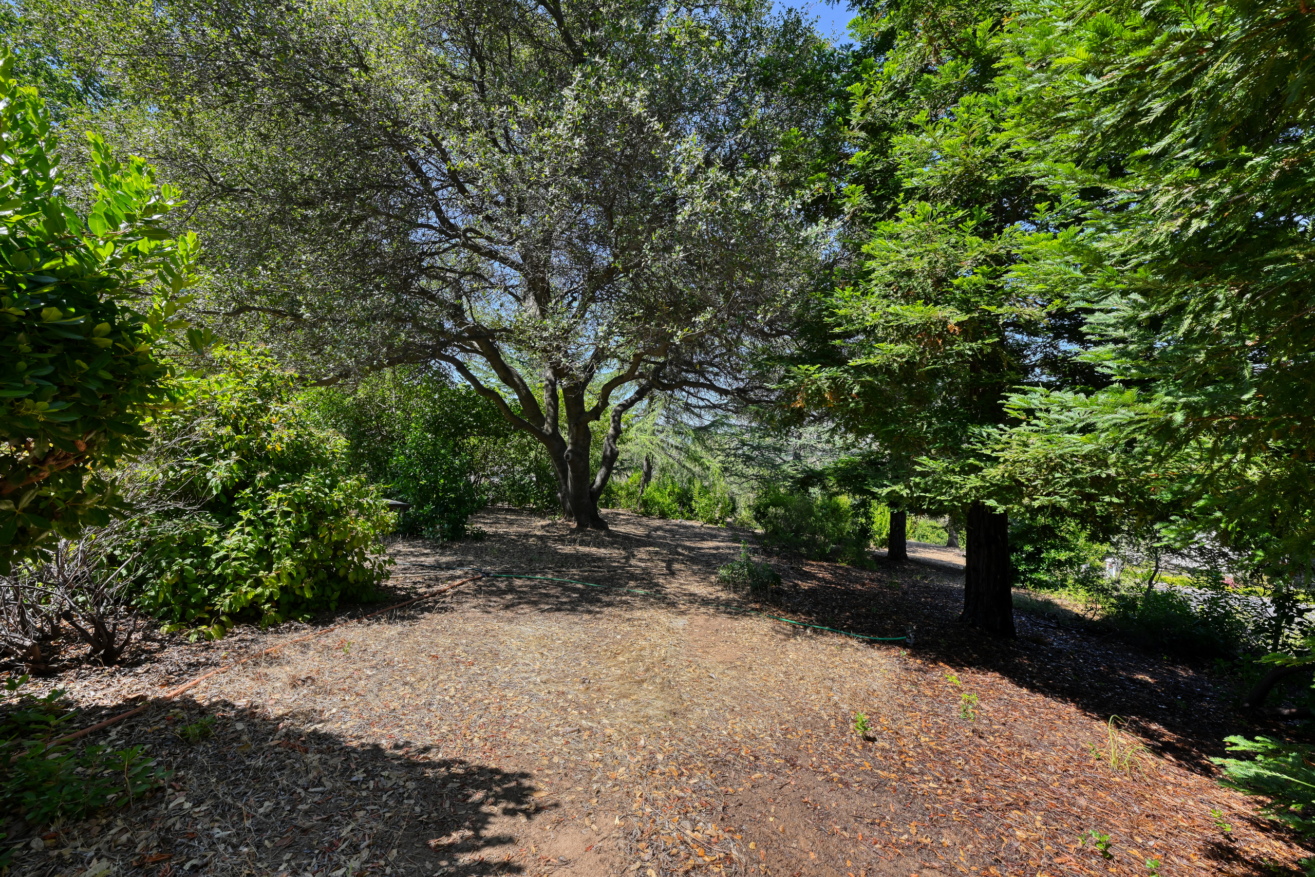  70 Whittington Drive, Newcastle, CA 95658 - 物件實景