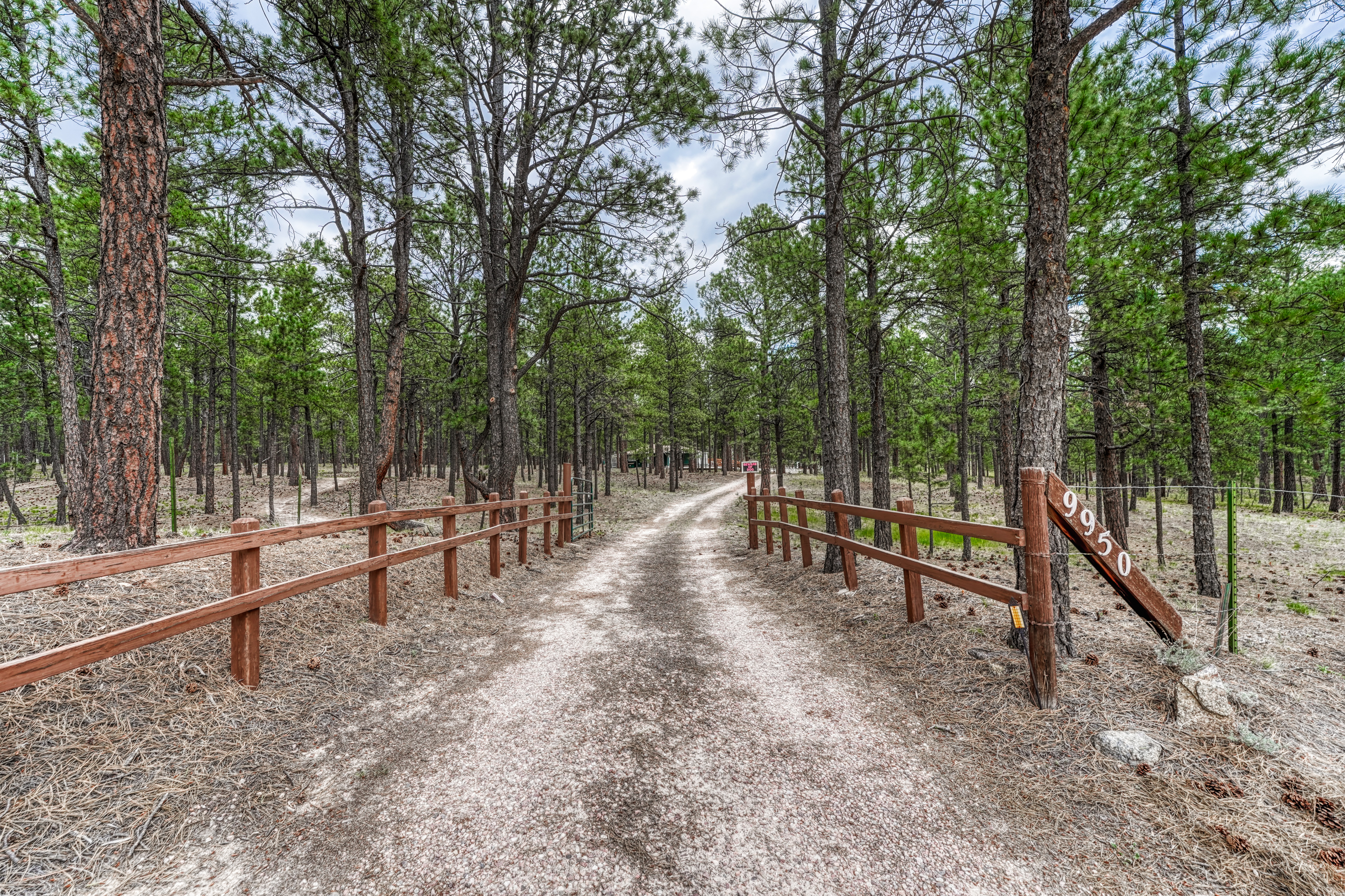  Meticulously maintained ranch-style home in sought-after Black Forest - 物件實景