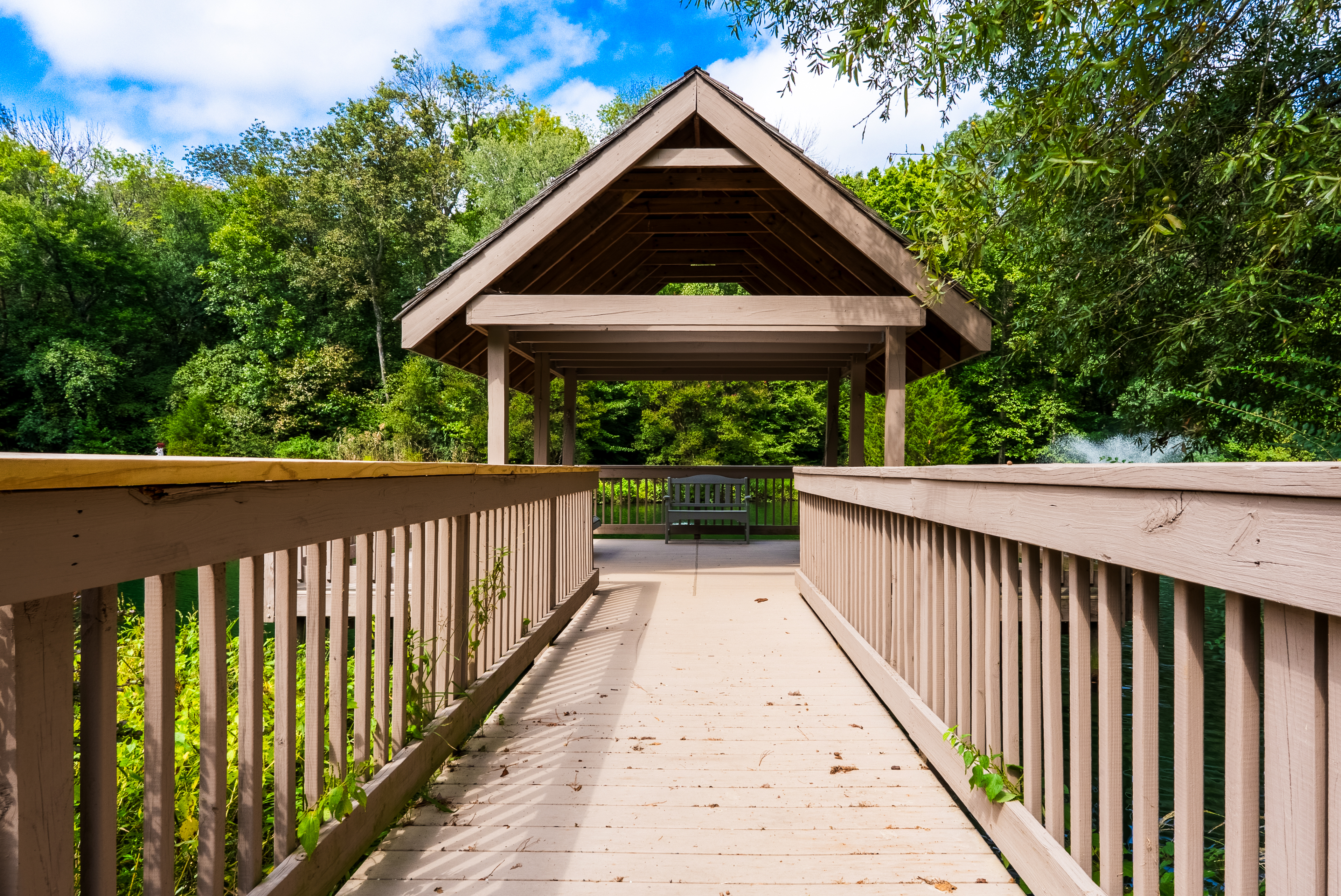  5131 Oholloran Way, Williamsburg, VA, 23188 - 物件實景