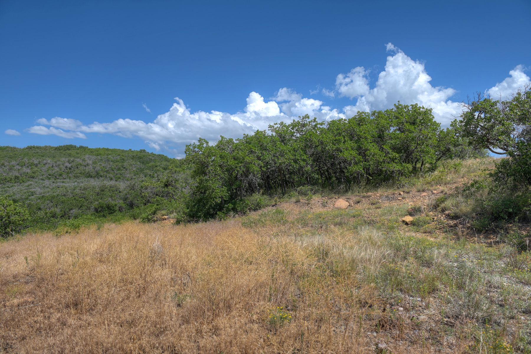 TBD Cross Creek Road, Hesperus, CO 81326 - 物件實景