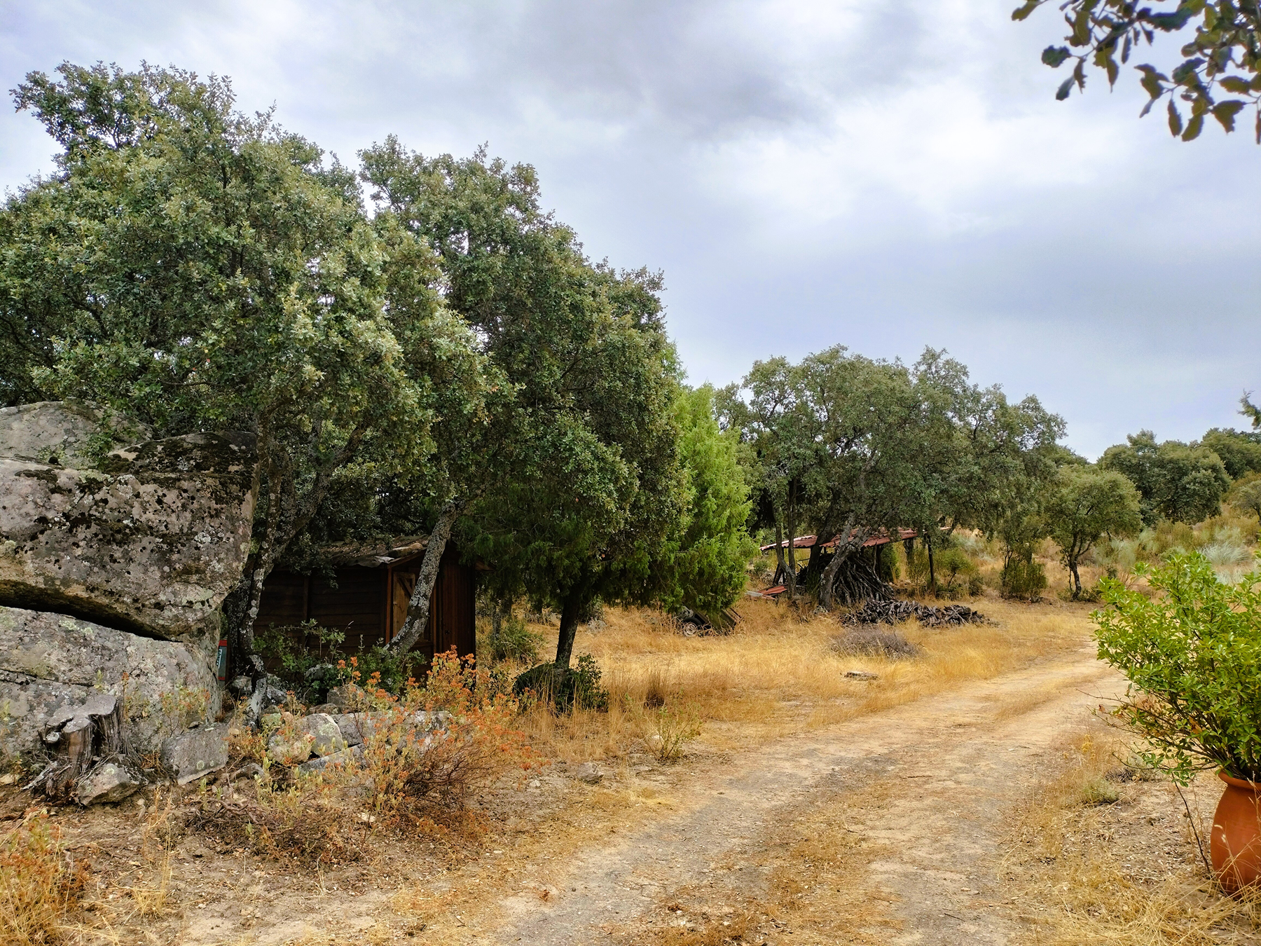  Equestrian estate of 51 hectares just 40 km from Madrid. - 物件實景