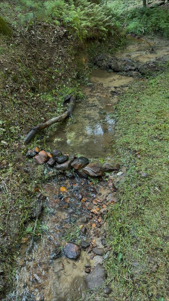 Blue Ridge, Georgia, 30513, United States, 3 Bedrooms Bedrooms, ,2 BathroomsBathrooms,Residential,For Sale,1977704