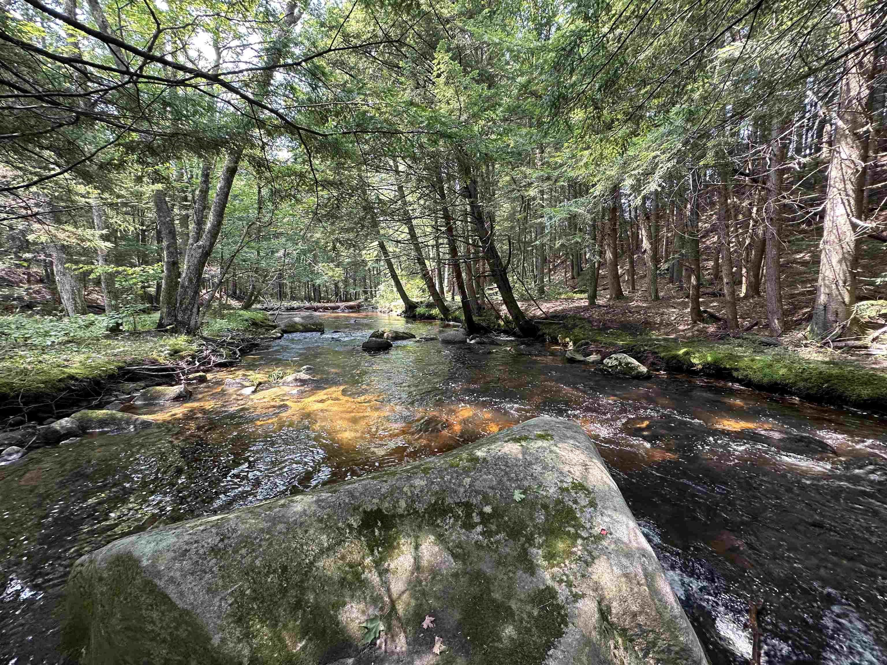 Grafton, New Hampshire, 03240, United States, 4 Bedrooms Bedrooms, ,1 BathroomBathrooms,Residential,For Sale,1737414