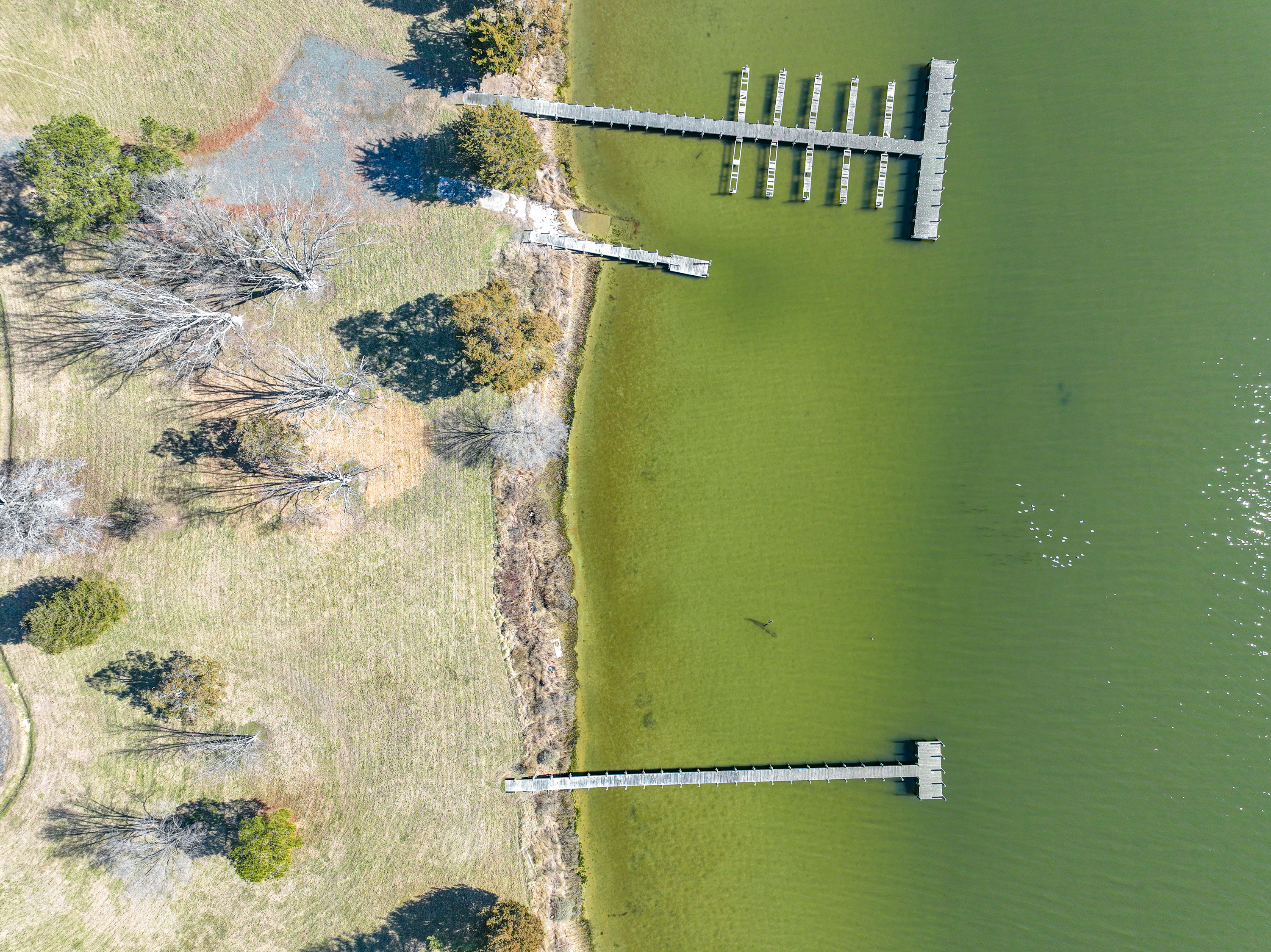 Onancock, Virginia, 23417, United States, ,Land,For Sale,1787848