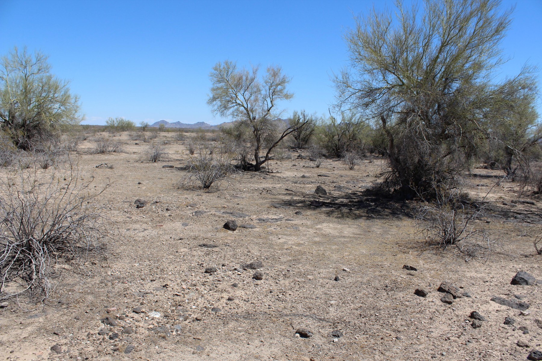  11 S 337th Avenue, Arlington, AZ, 85322 - 物件實景