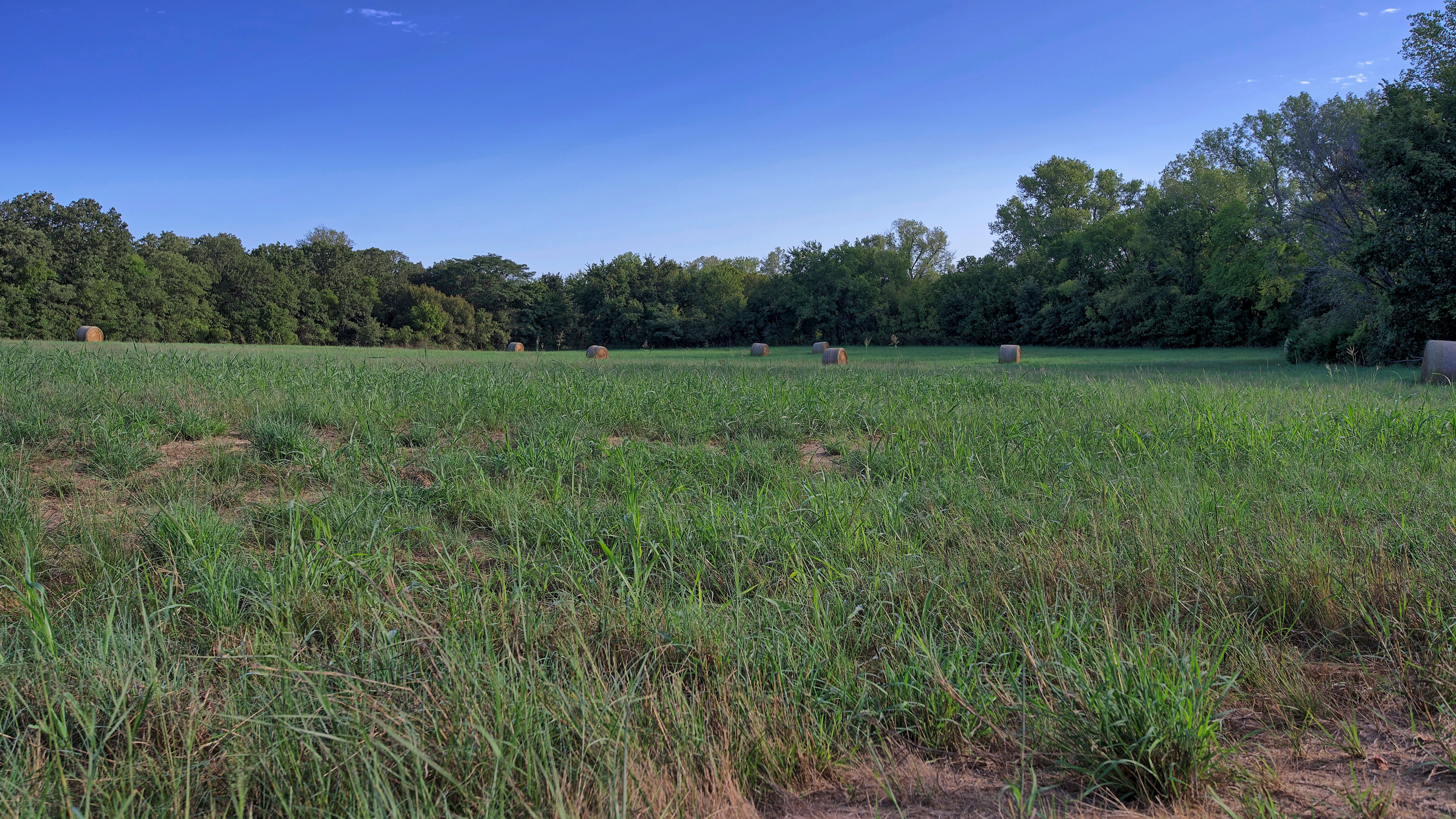  0 Deen Road, Bowie, TX, 76230 - 物件實景