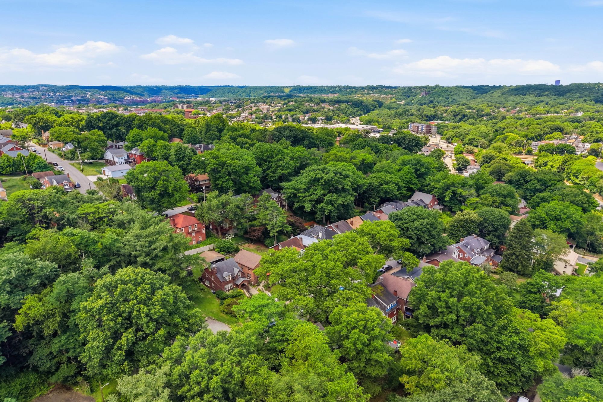  235 Oakview Avenue, Pittsburgh, PA 15218 - 物件實景