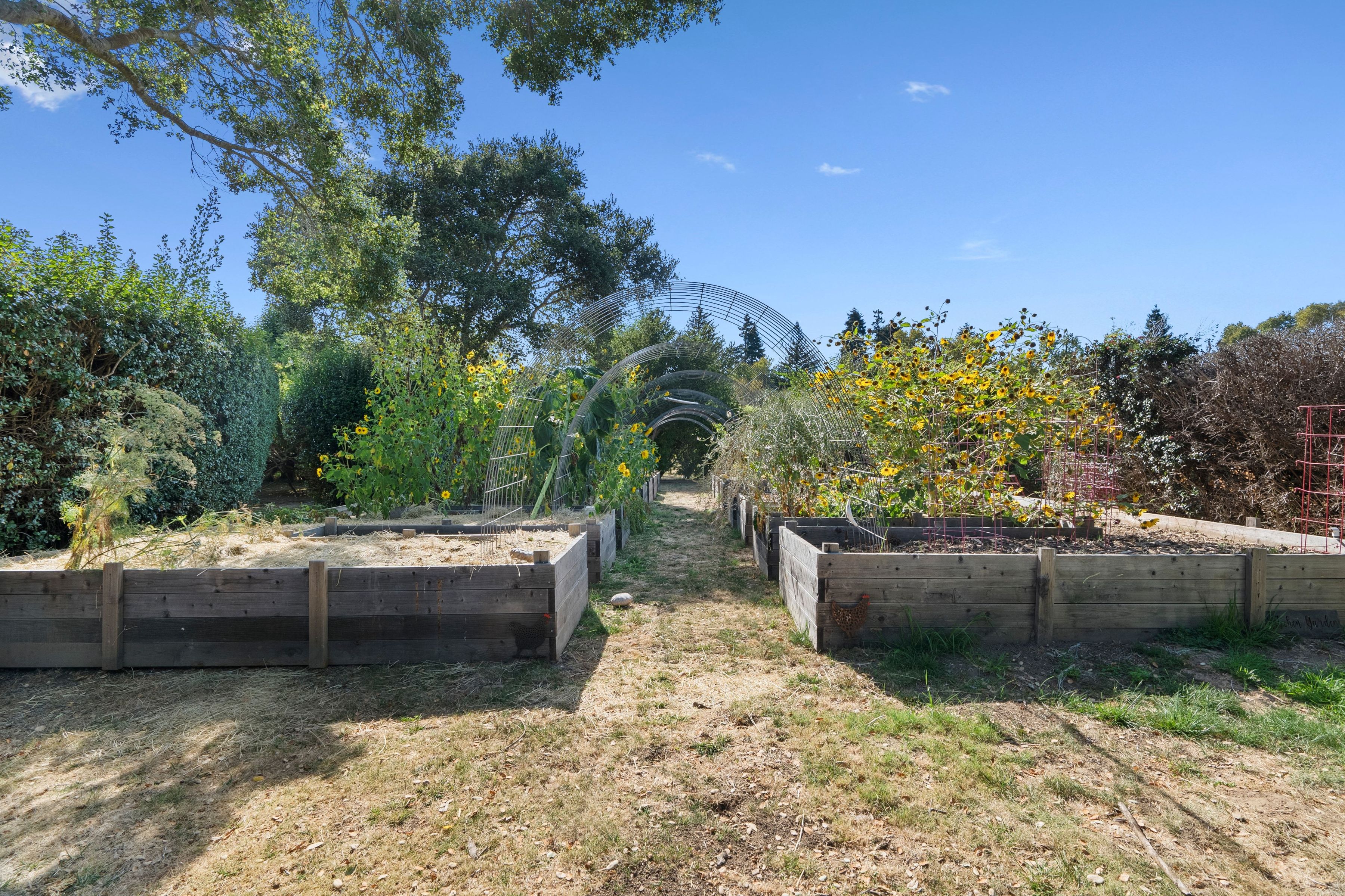  3999 Cherryvale Avenue, Soquel - 物件實景