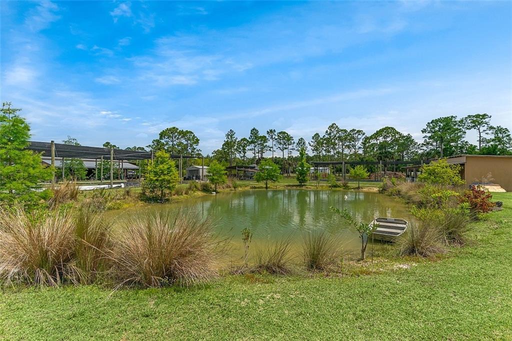 Fellsmere, Florida, 32948, United States, ,Residential,For Sale,1988118