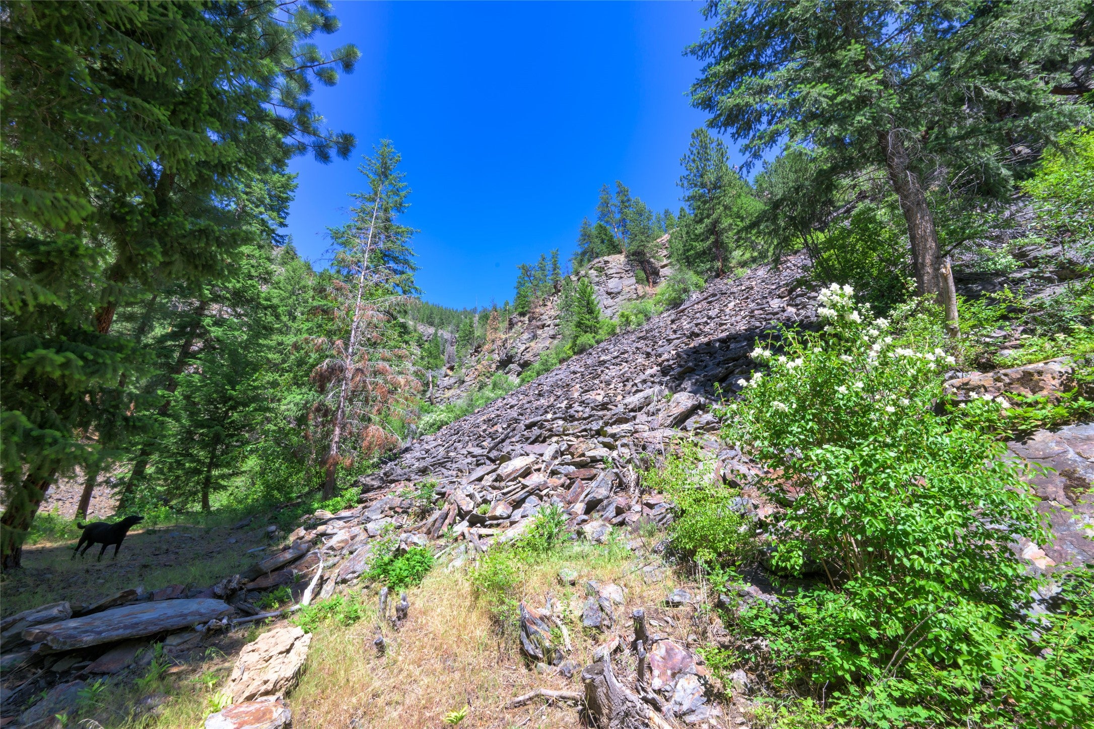 8045 Mt Hwy 200, Plains, Montana, 59859, United States, 3 Bedrooms Bedrooms, ,1 BathroomBathrooms,Residential,For Sale,8045 Mt Hwy 200,1586647