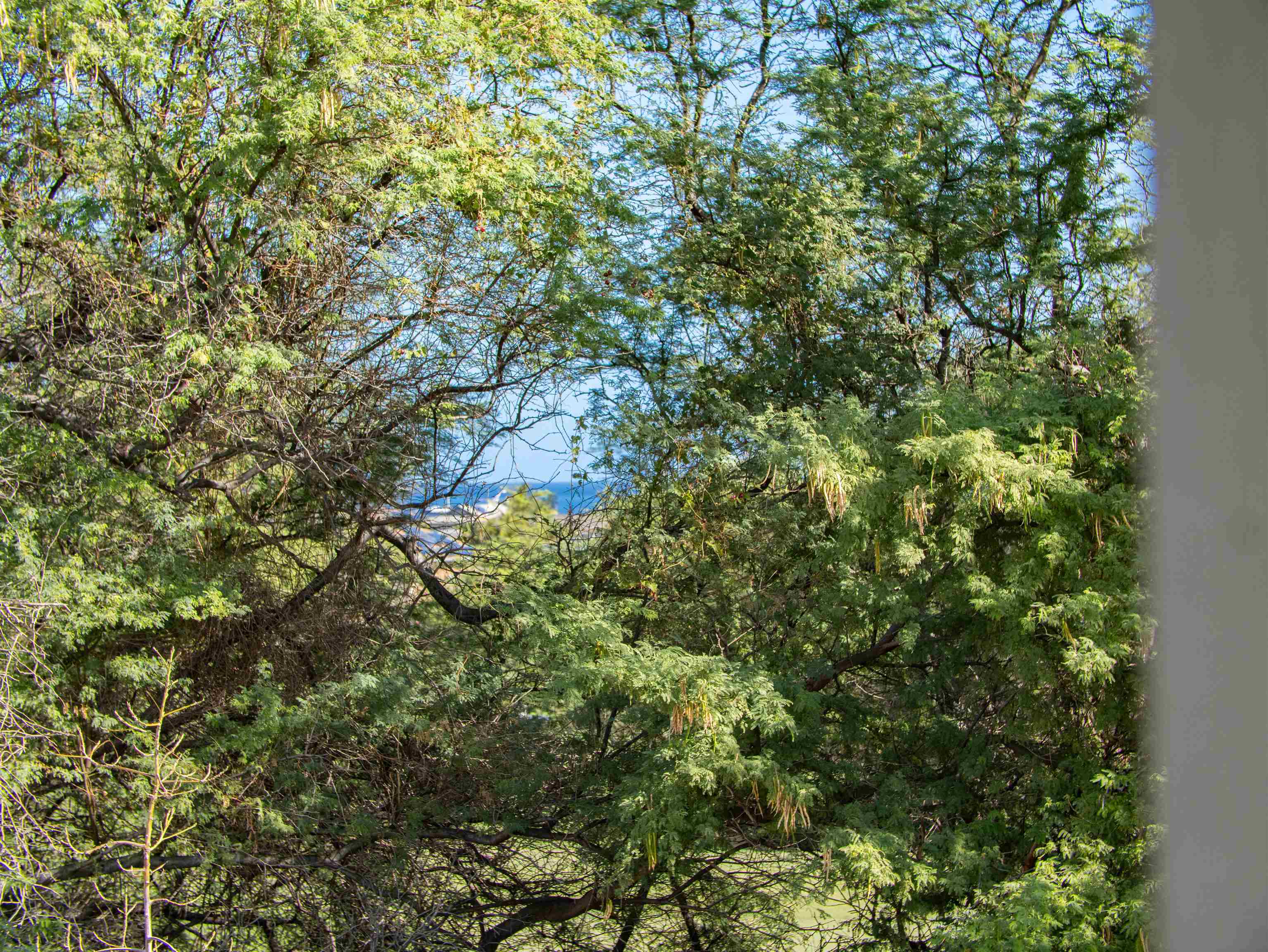 Kahului, Hawaii, 96732, United States, 5 Bedrooms Bedrooms, ,4 BathroomsBathrooms,Residential,For Sale,1999655