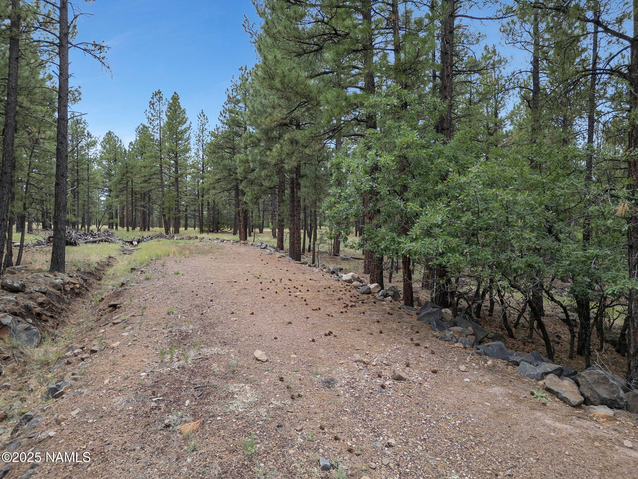 Flagstaff, Arizona, 86001, United States, ,Land,For Sale,1948051
