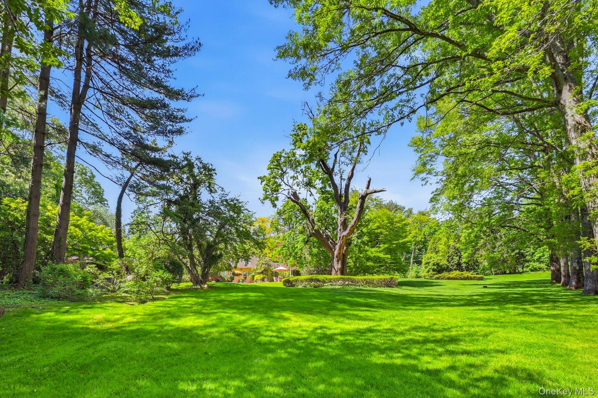  17 Hastings Road, Old Westbury, NY, 11568 - 物件實景