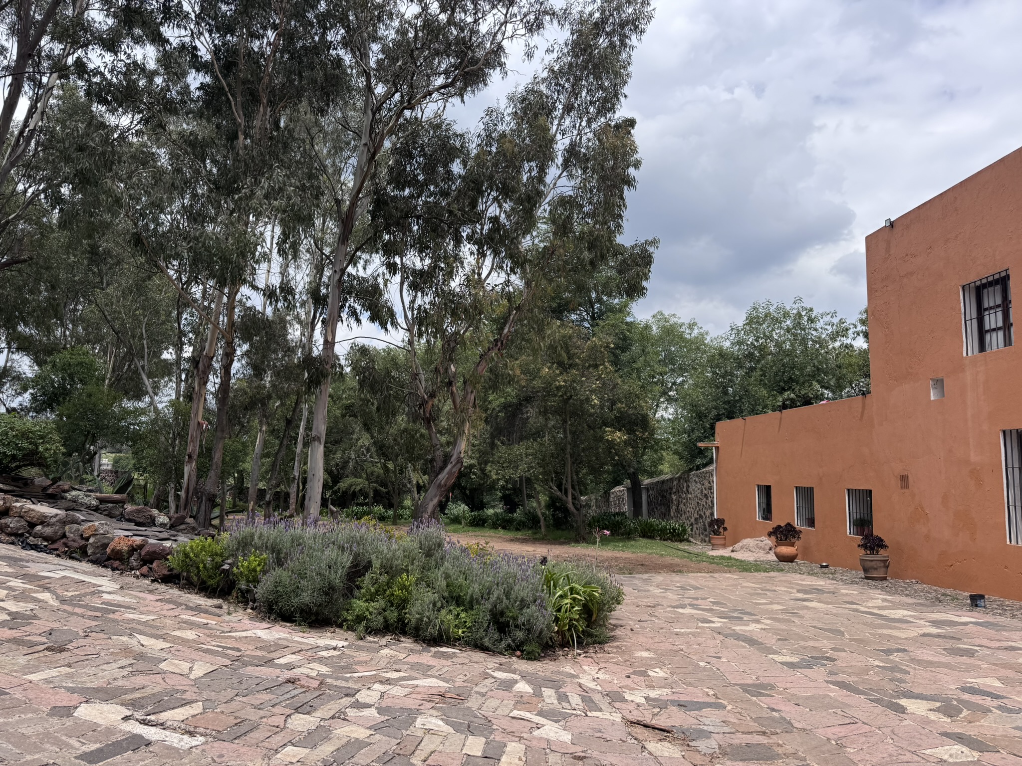  RANCHO EL MOLINO - 物件實景