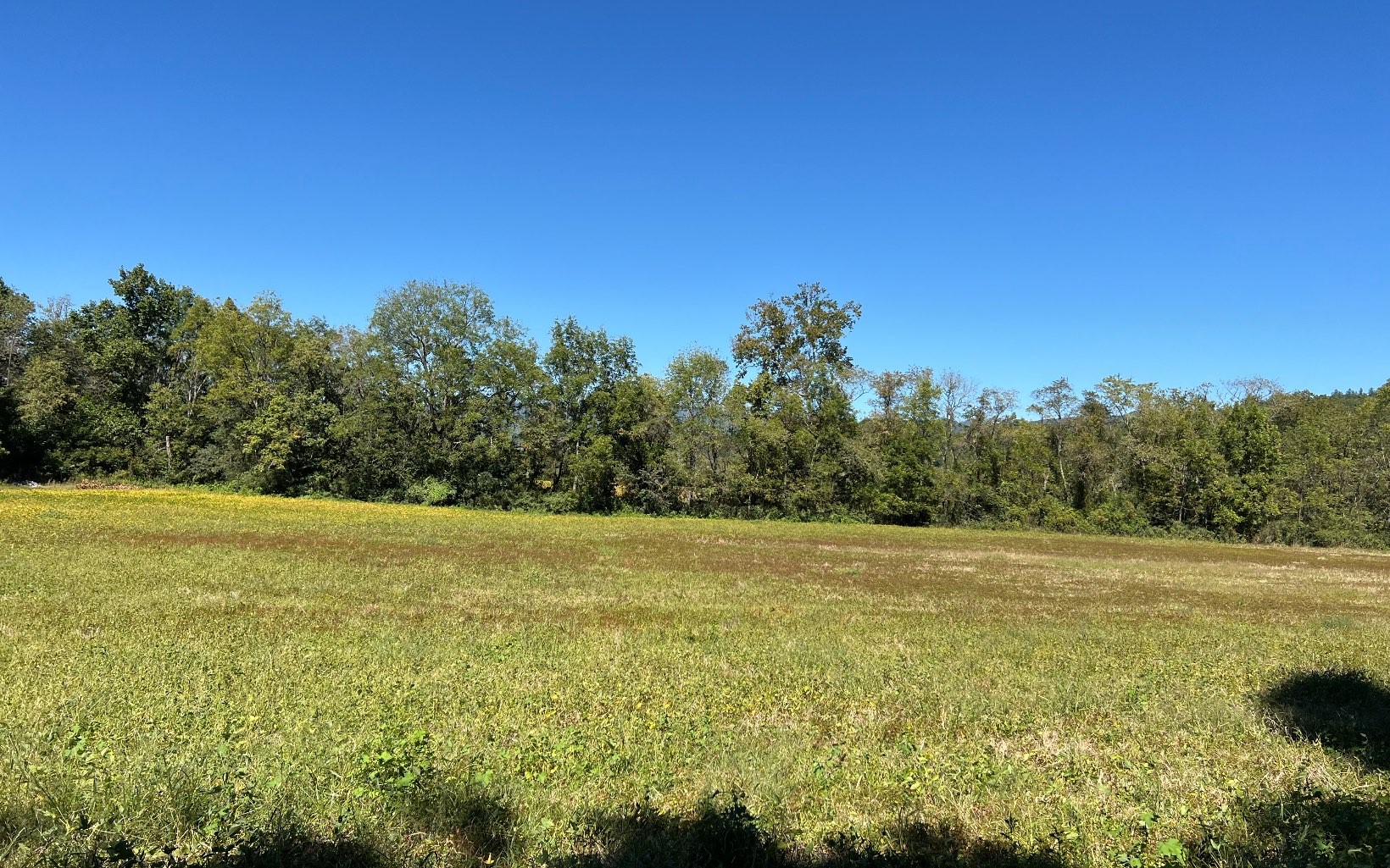 Hayesville, North Carolina, 28904, United States, ,Residential,For Sale,1943293