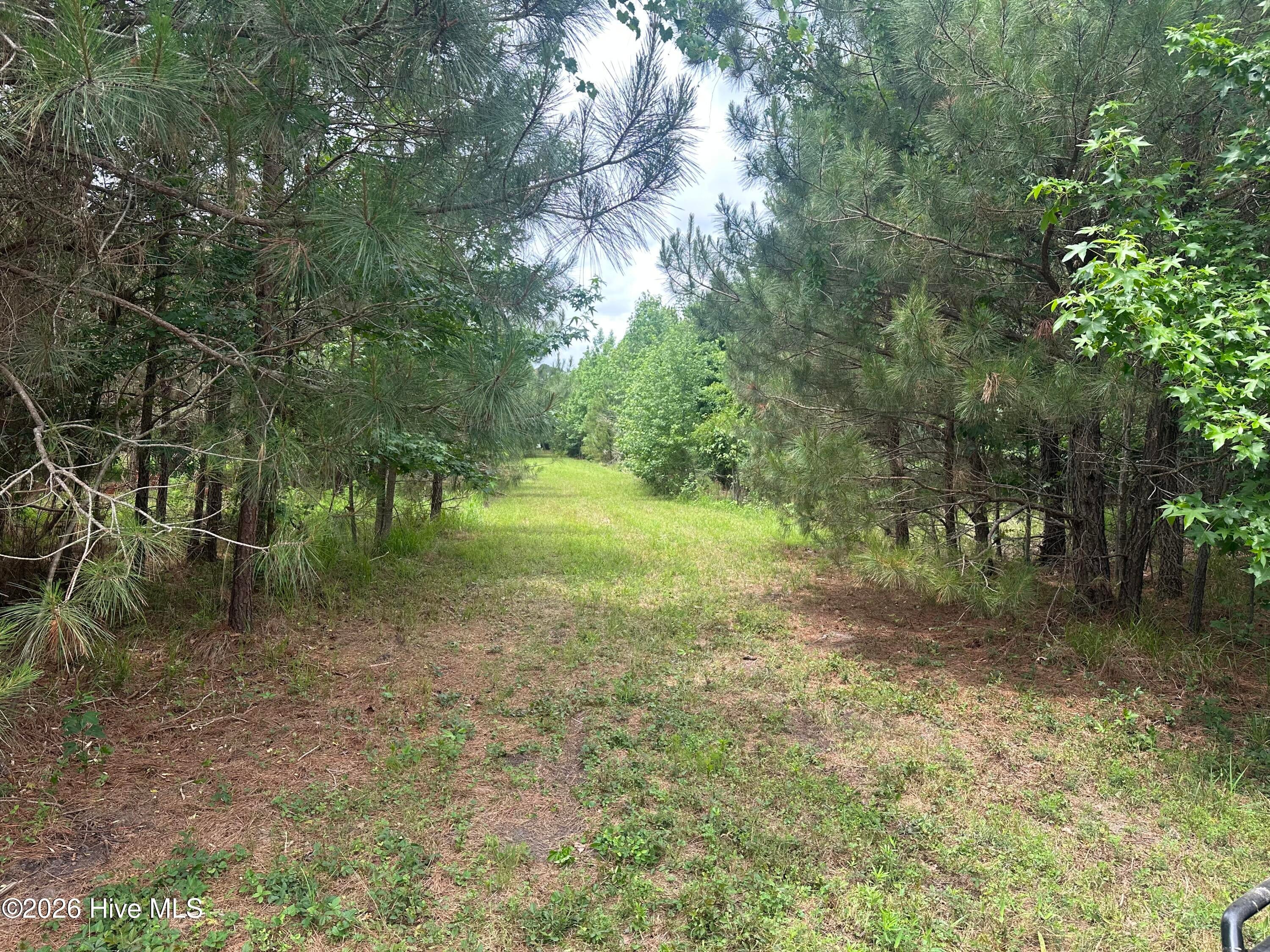 Ahoskie, North Carolina, 27910, United States, ,Land,For Sale,2048833